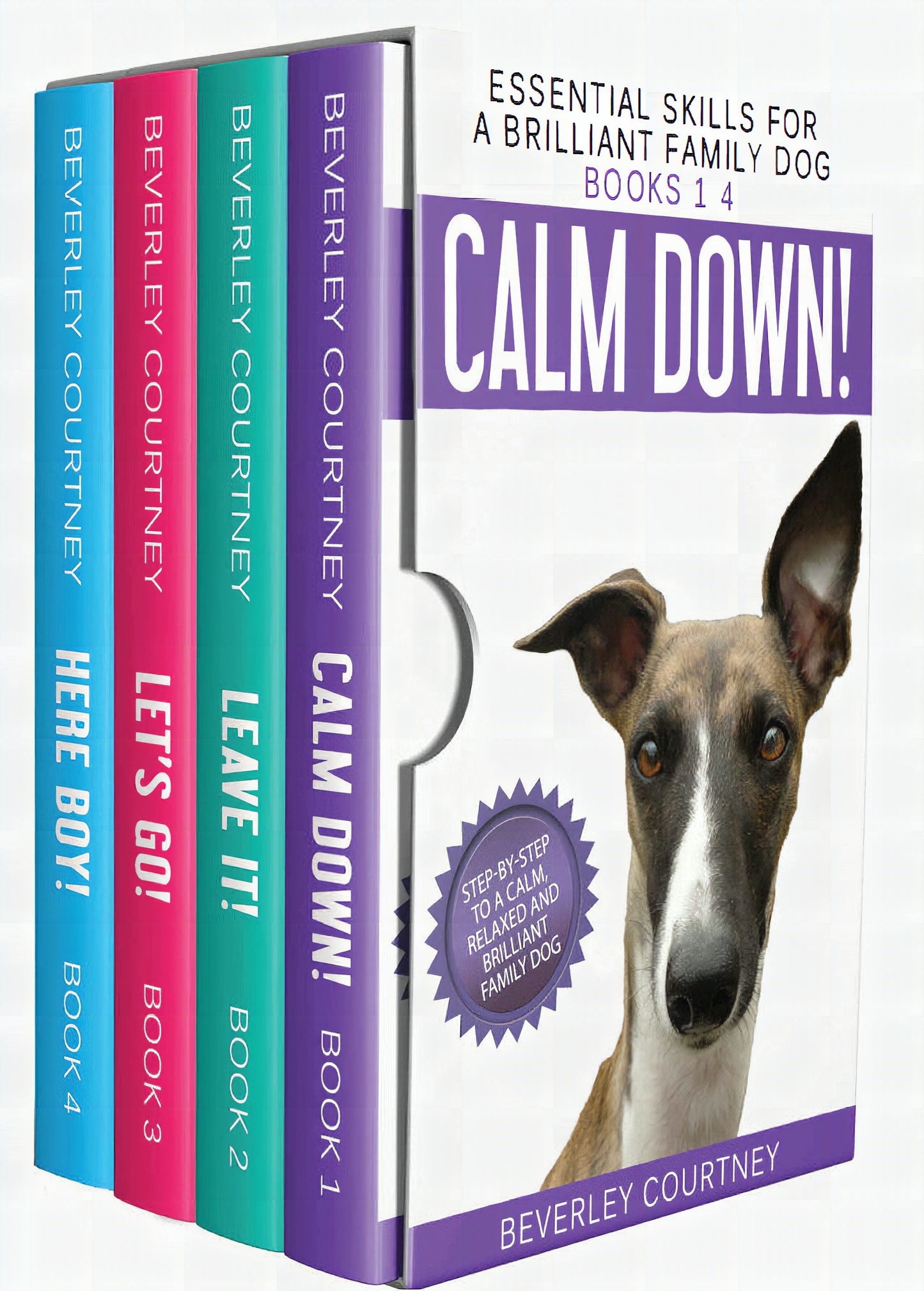 Essential Skills For A Brilliant Family Dog