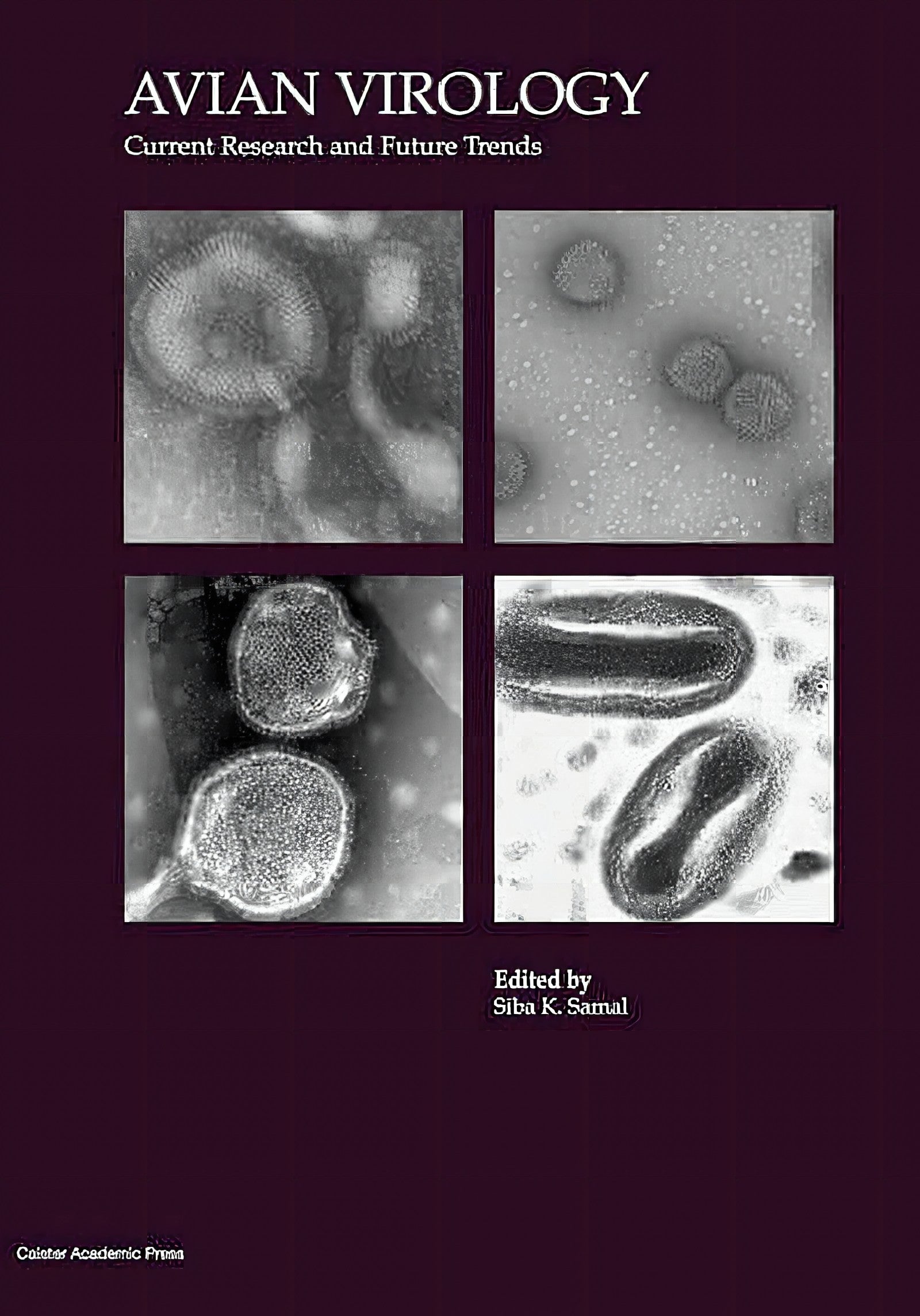 Avian Virology Current Research And Future Trends