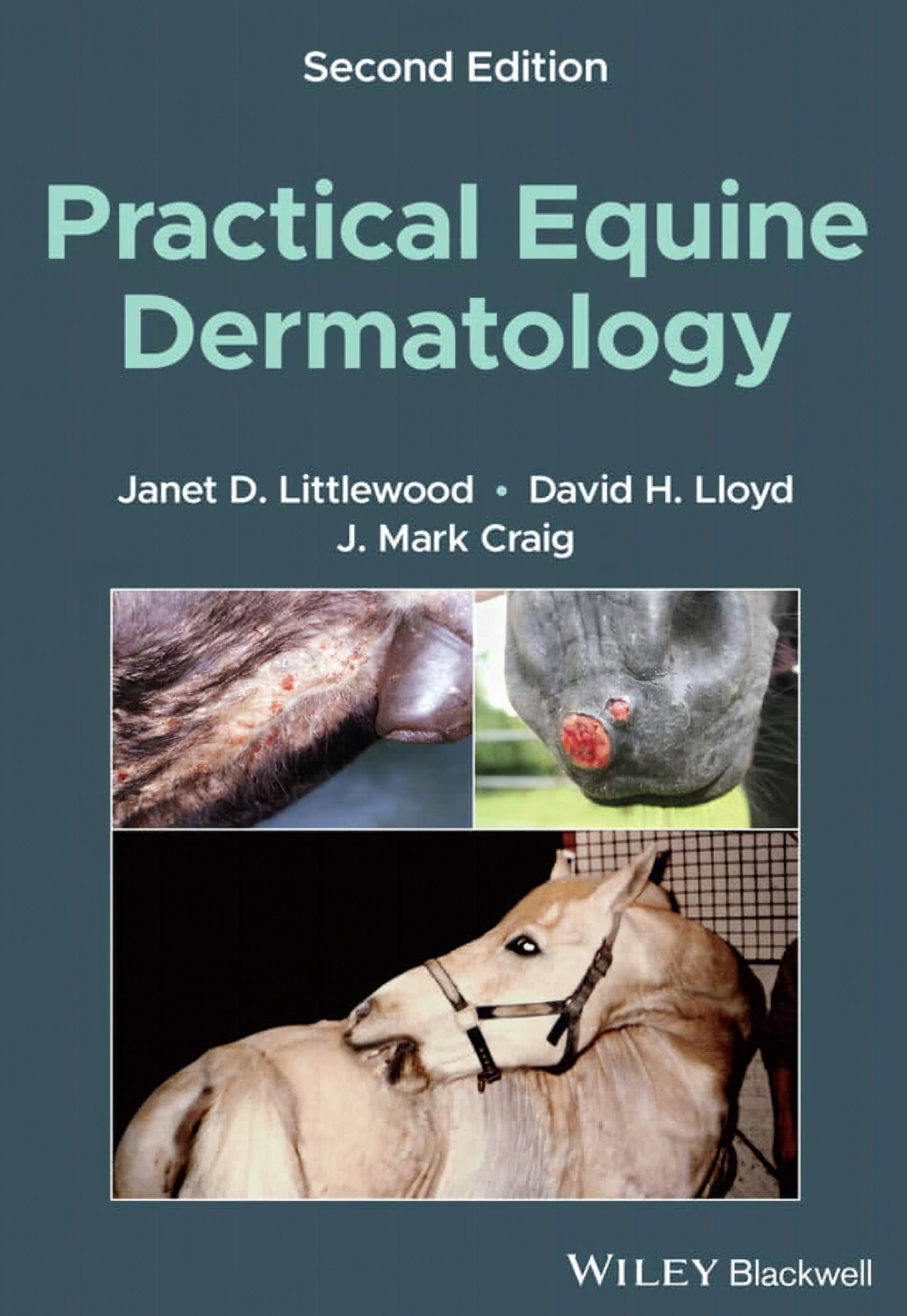Practical Equine Dermatology 2Nd Edition