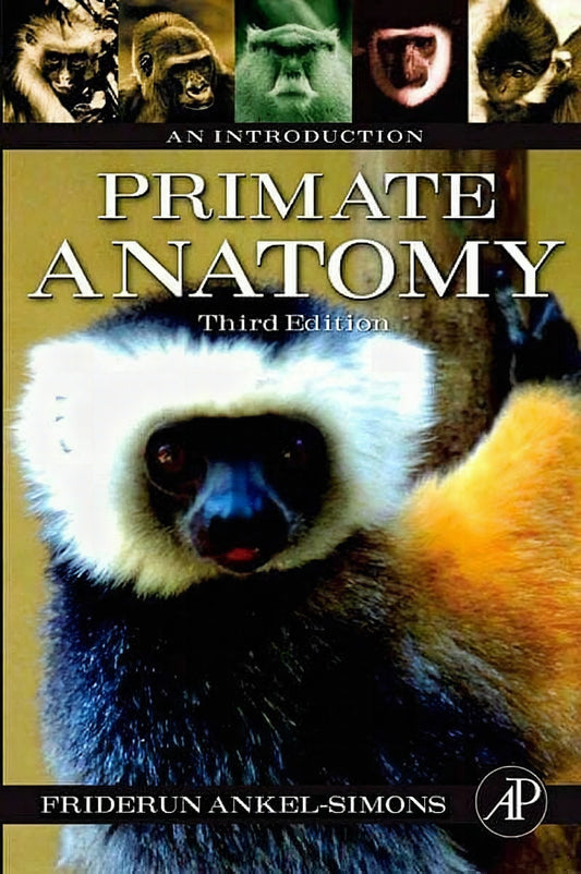 Primate Anatomy An Introduction 3Rd Edition