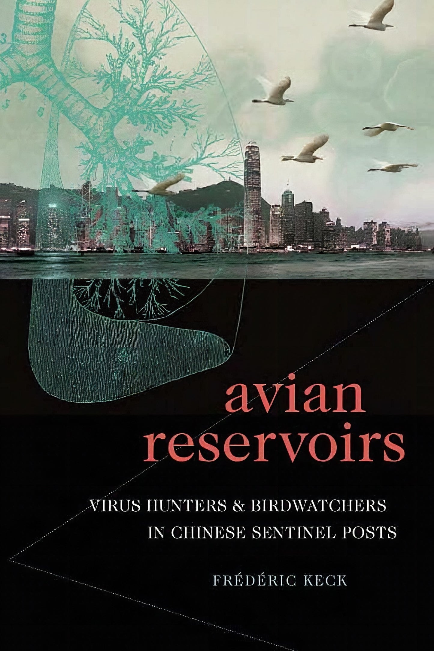 Avian Reservoirs Virus Hunters And Birdwatchers In Chinese Sentinel Posts