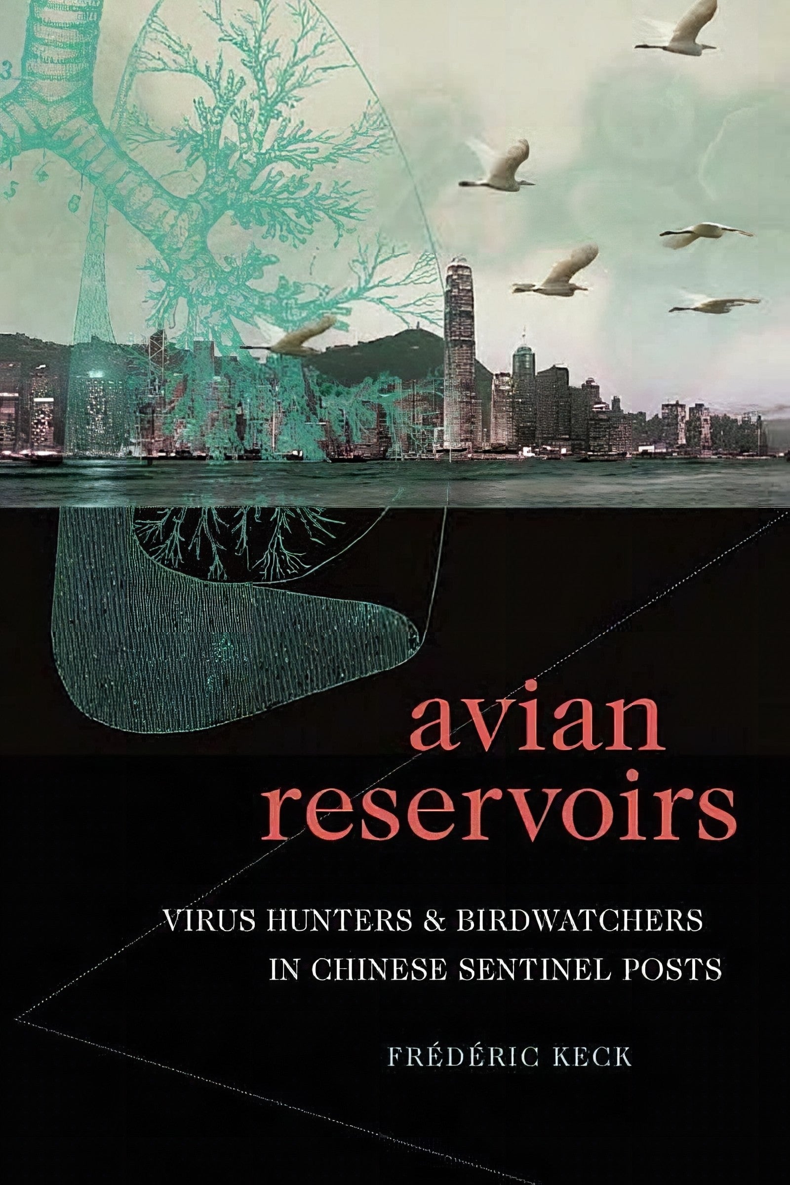 Avian Reservoirs Virus Hunters And Birdwatchers In Chinese Sentinel Posts
