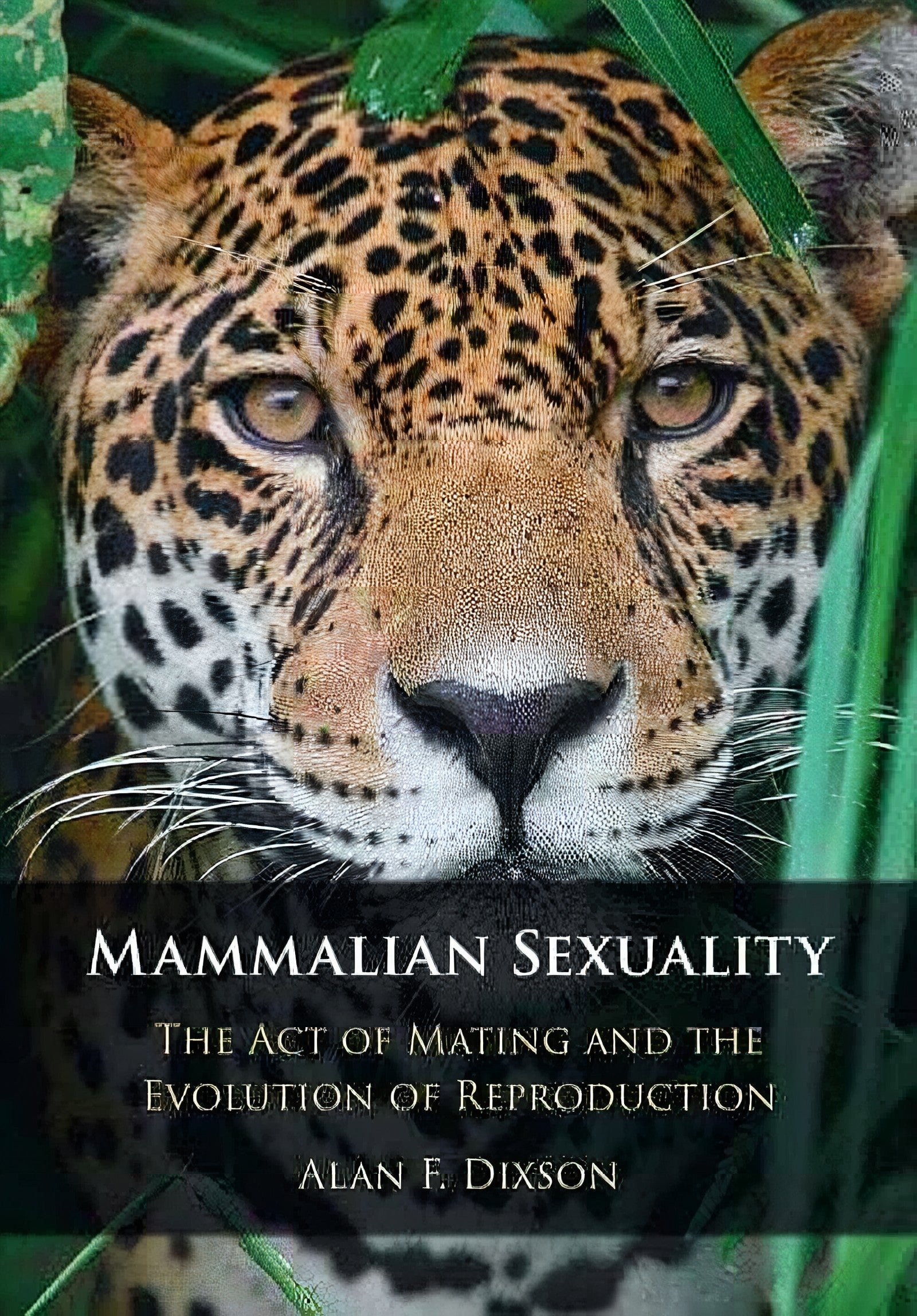 Mammalian Sexuality The Act Of Mating And The Evolution Of Reproduction