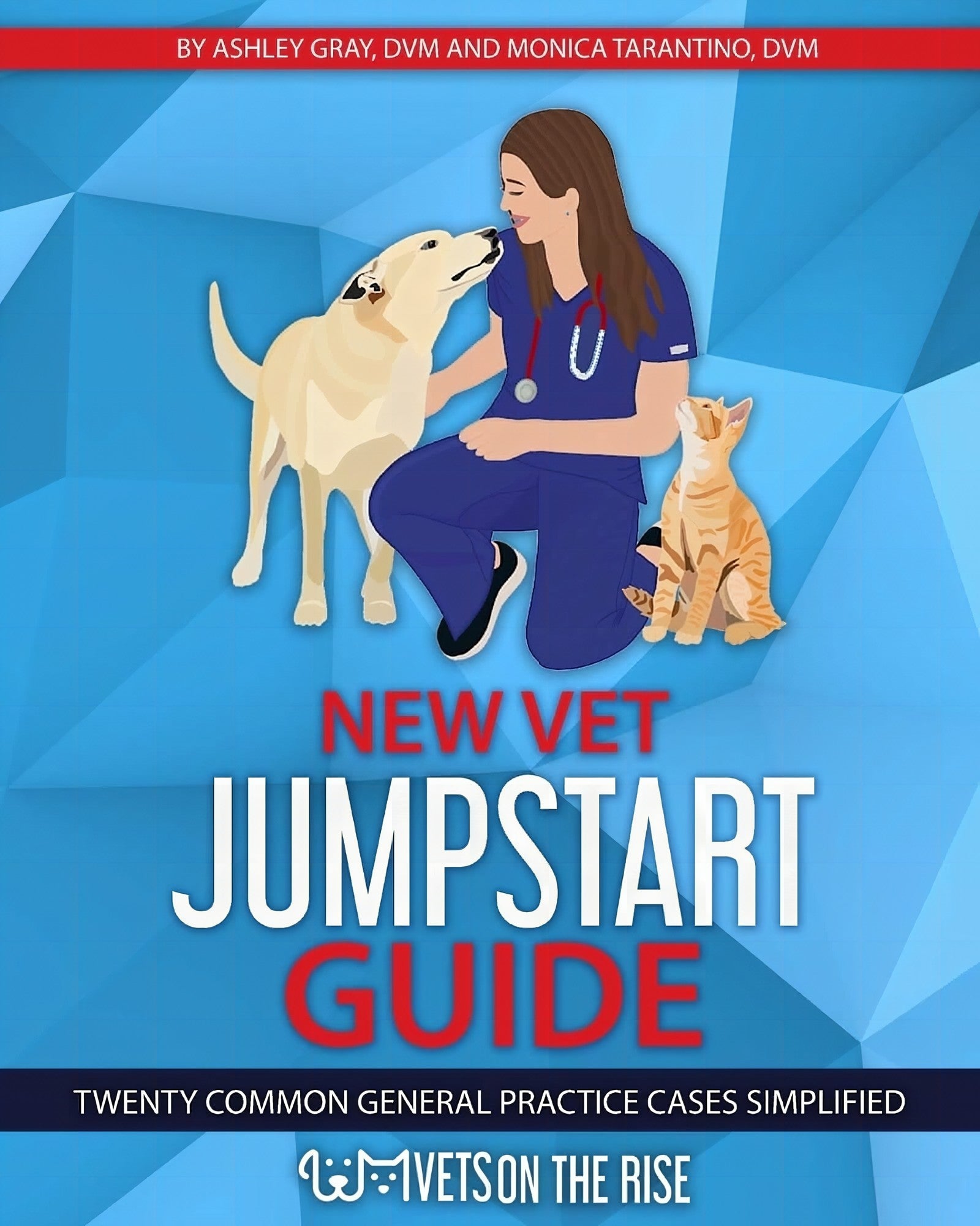 New Vet Jumpstart Guide Twenty Common General Practice Cases Simplified