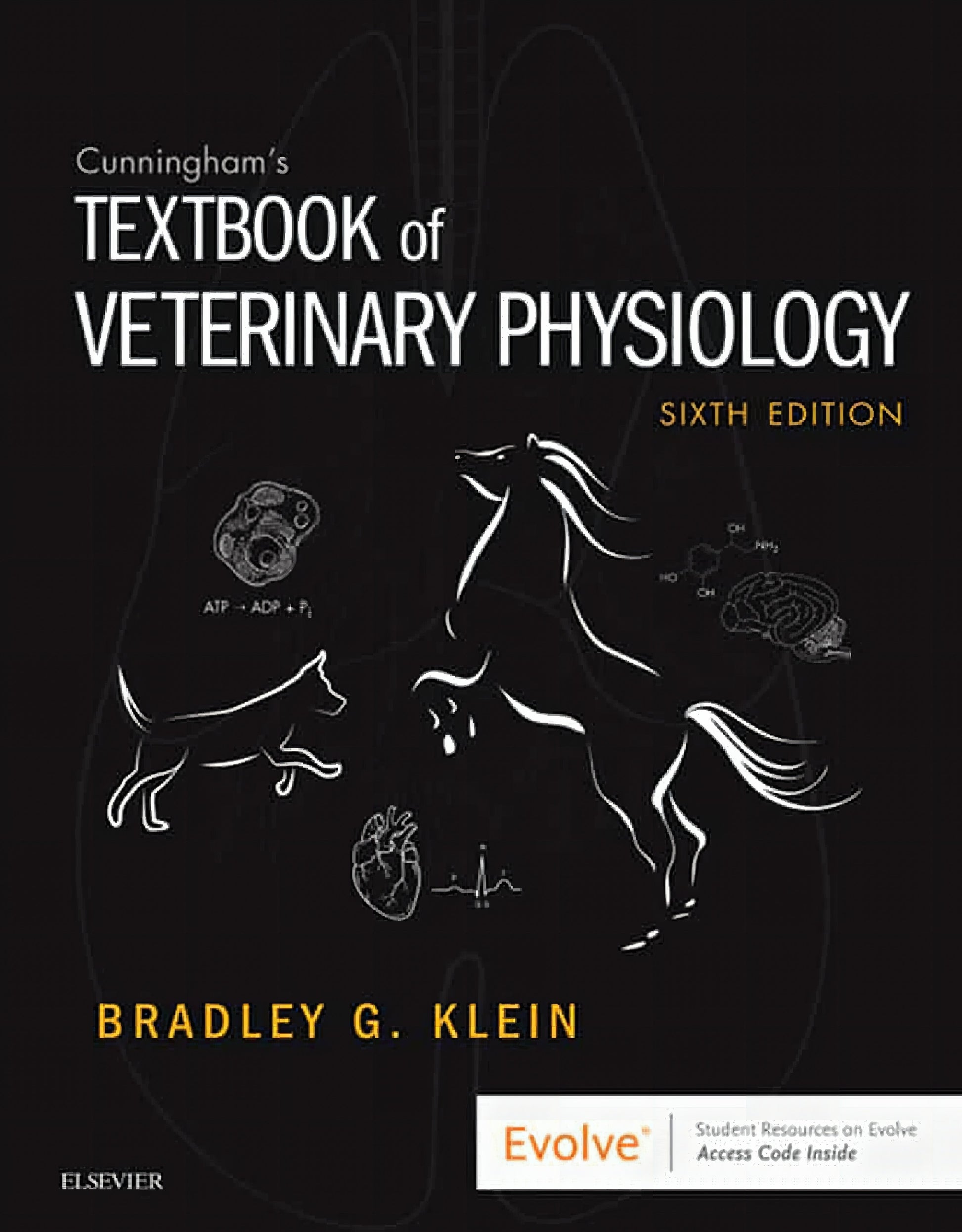 Cunninghams Textbook Of Veterinary Physiology 6Th Edition
