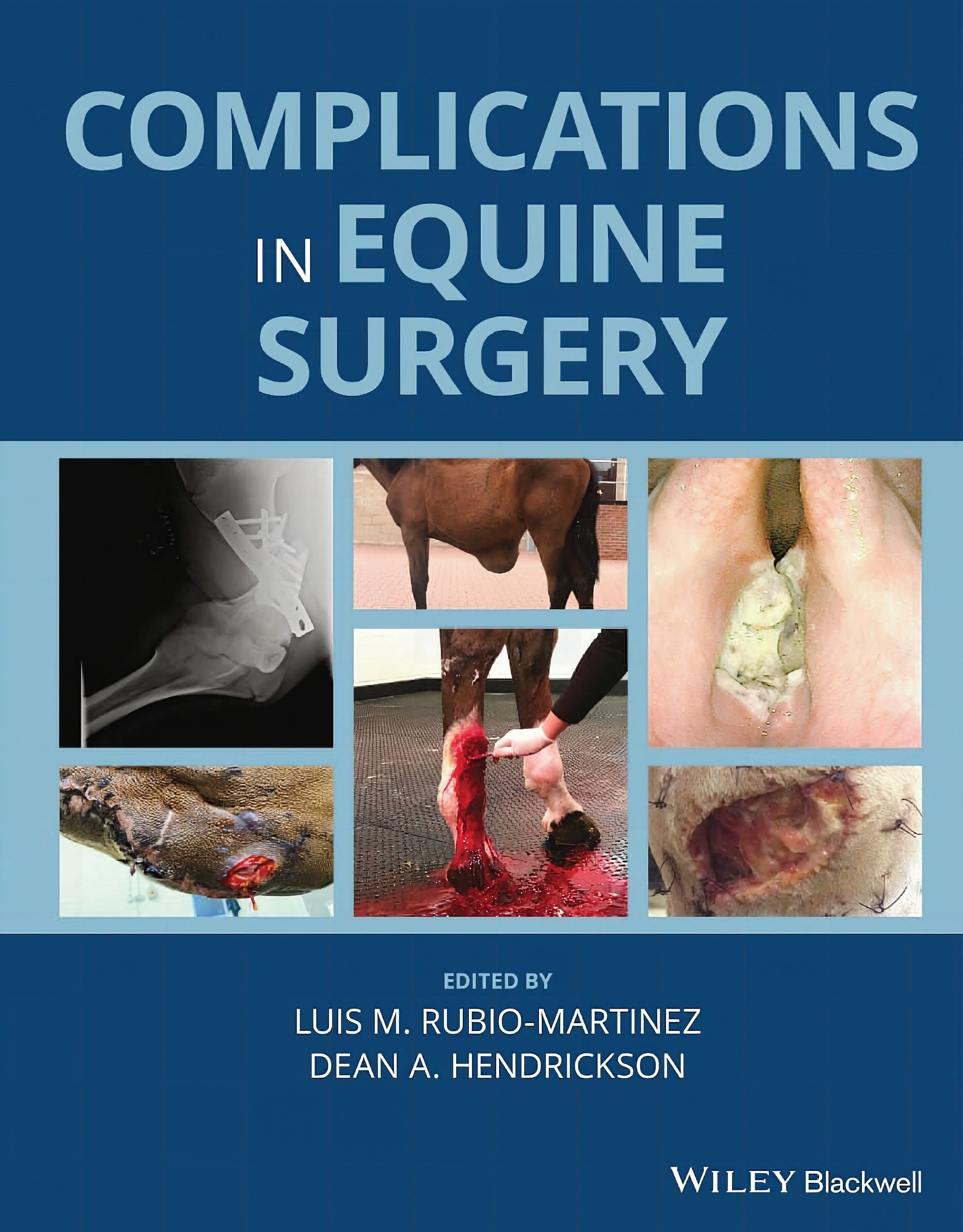 Complications In Equine Surgery