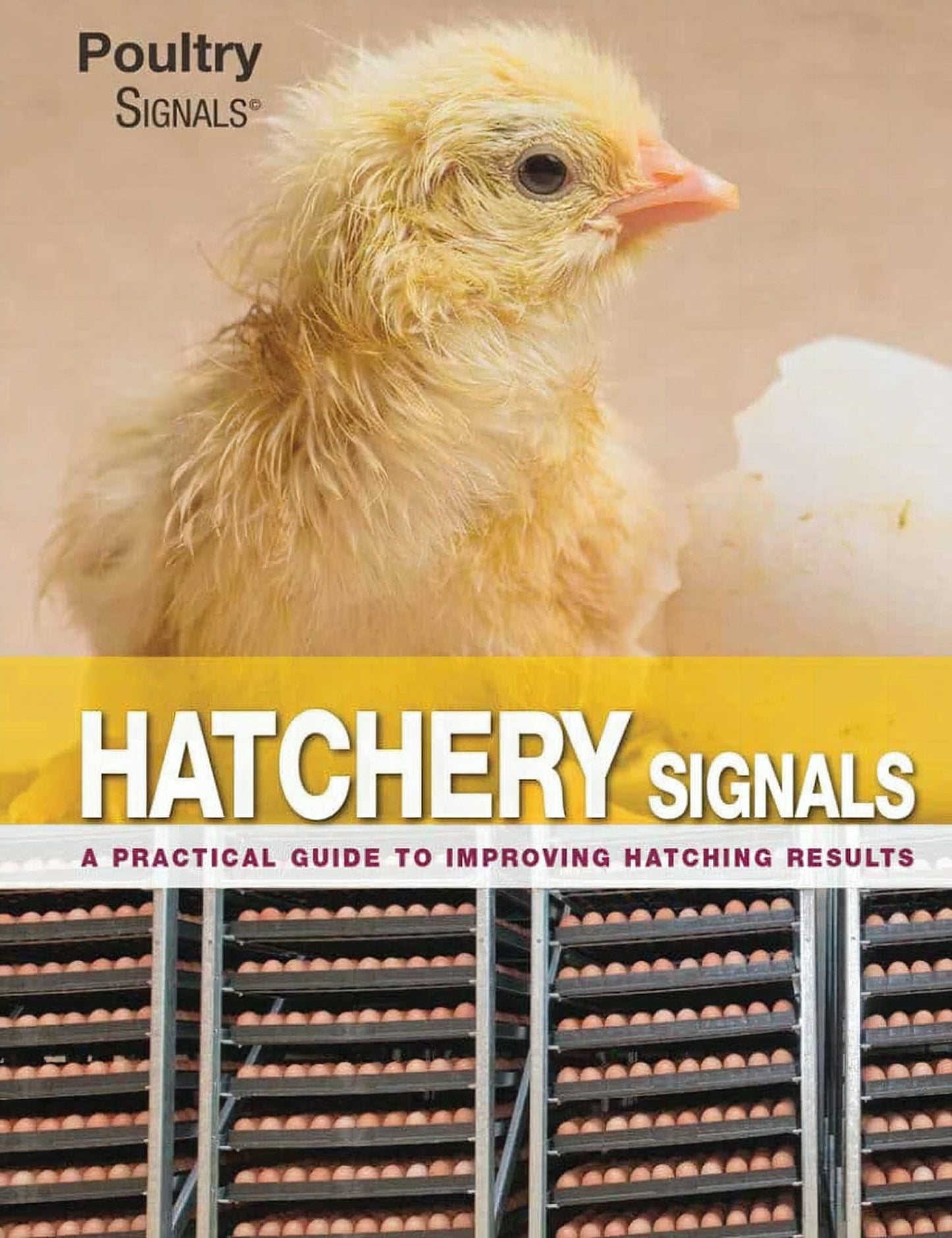 Hatchery Signals A Practical Guide To Improving Hatching Results