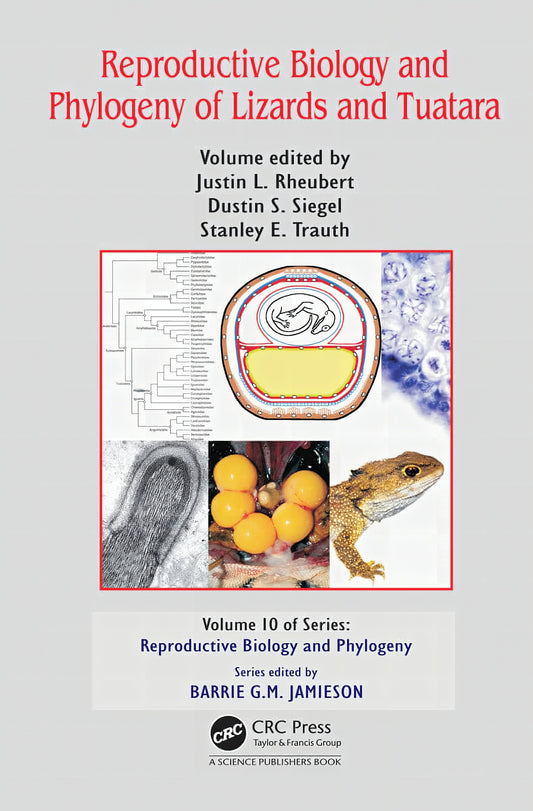 Reproductive Biology Ad Phylogeny Of Lizards And Tuatara