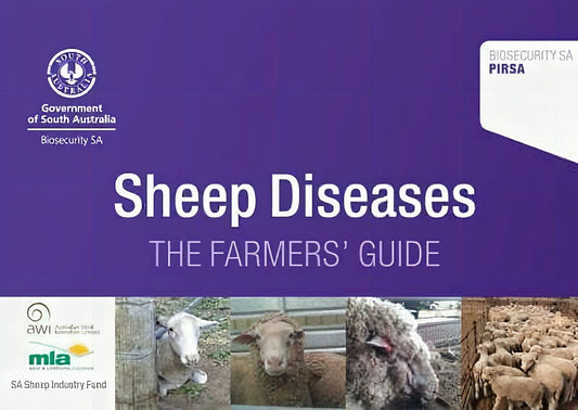 Sheep Diseases The Farmers Guide