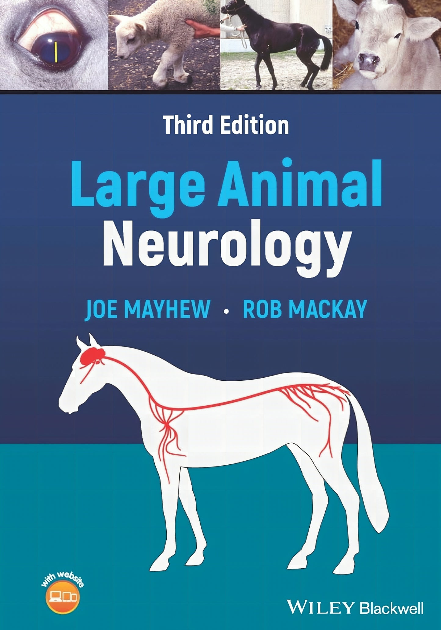 Large Animal Neurology 3Rd Edition