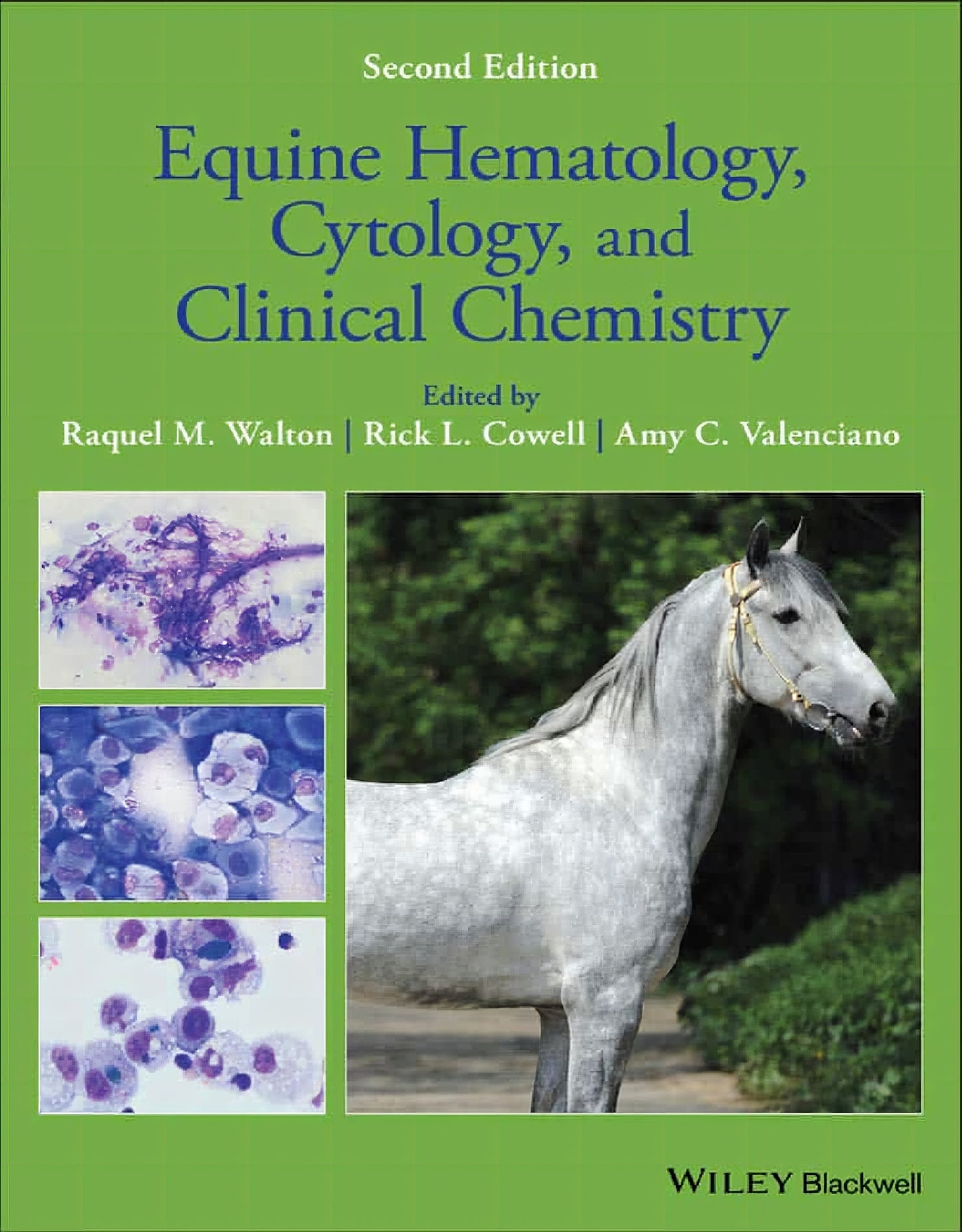 Equine Hematology Cytology And Clinical Chemistry 2Nd Edition
