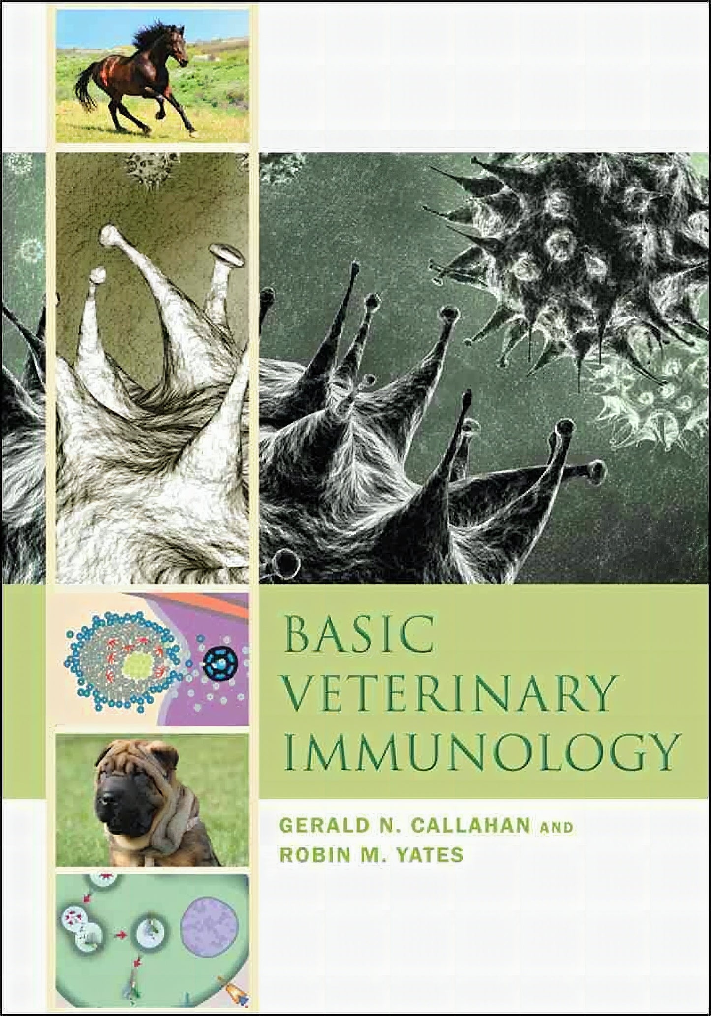 Basic Veterinary Immunology