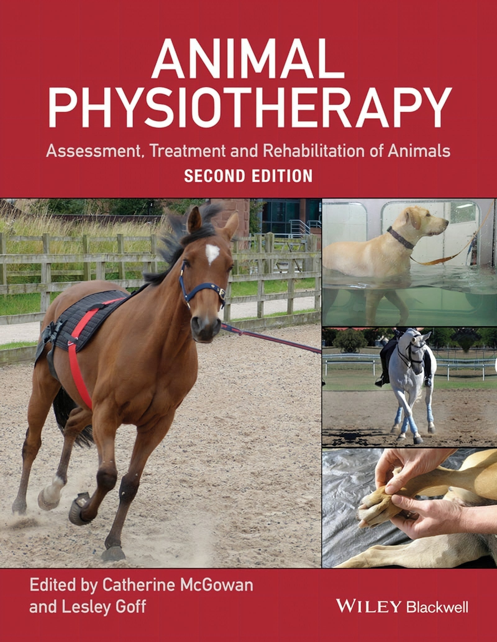 Animal Physiotherapy Assessment Treatment And Rehabilitation Of Animals 2Nd Edition