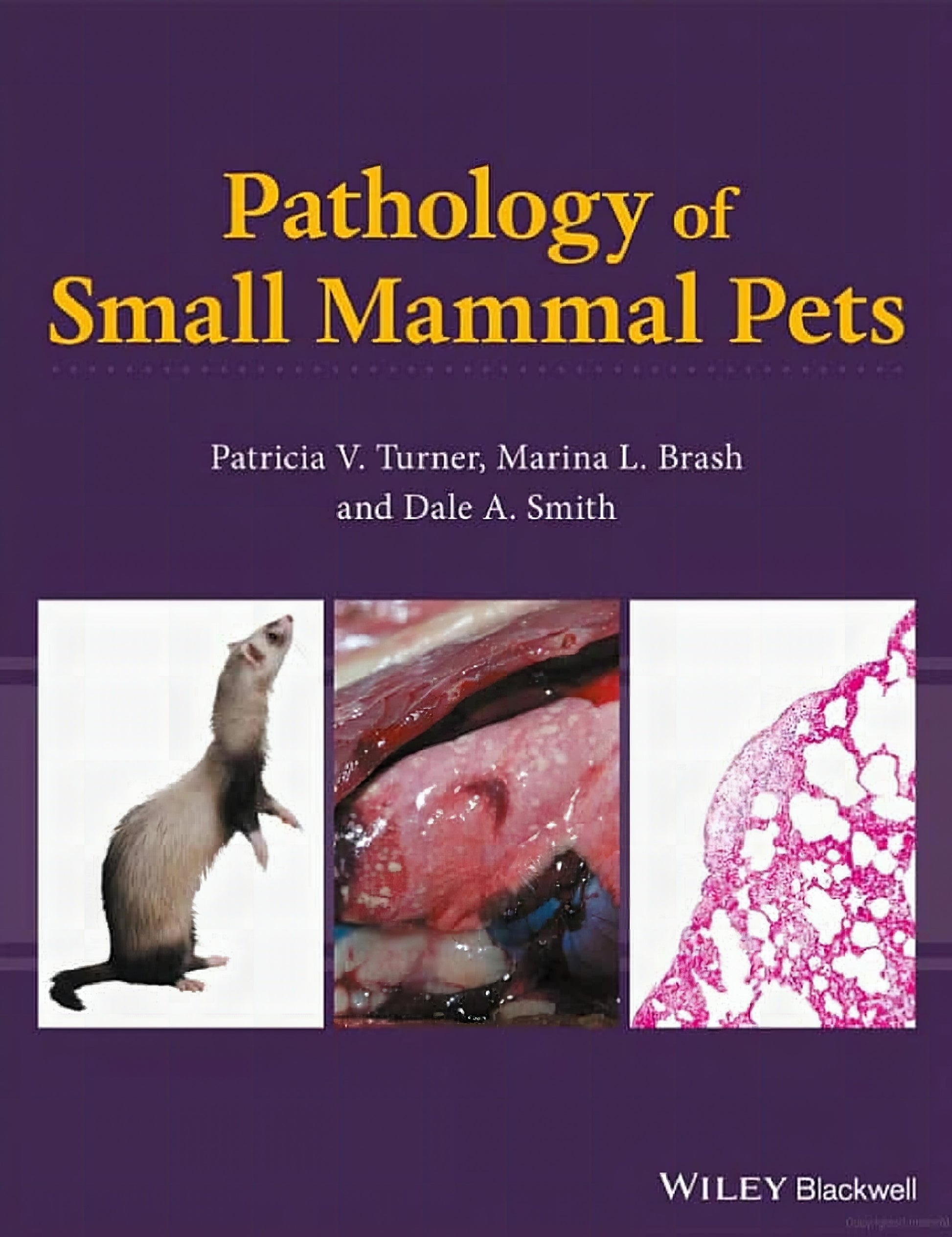 Pathology Of Small Mammal Pets