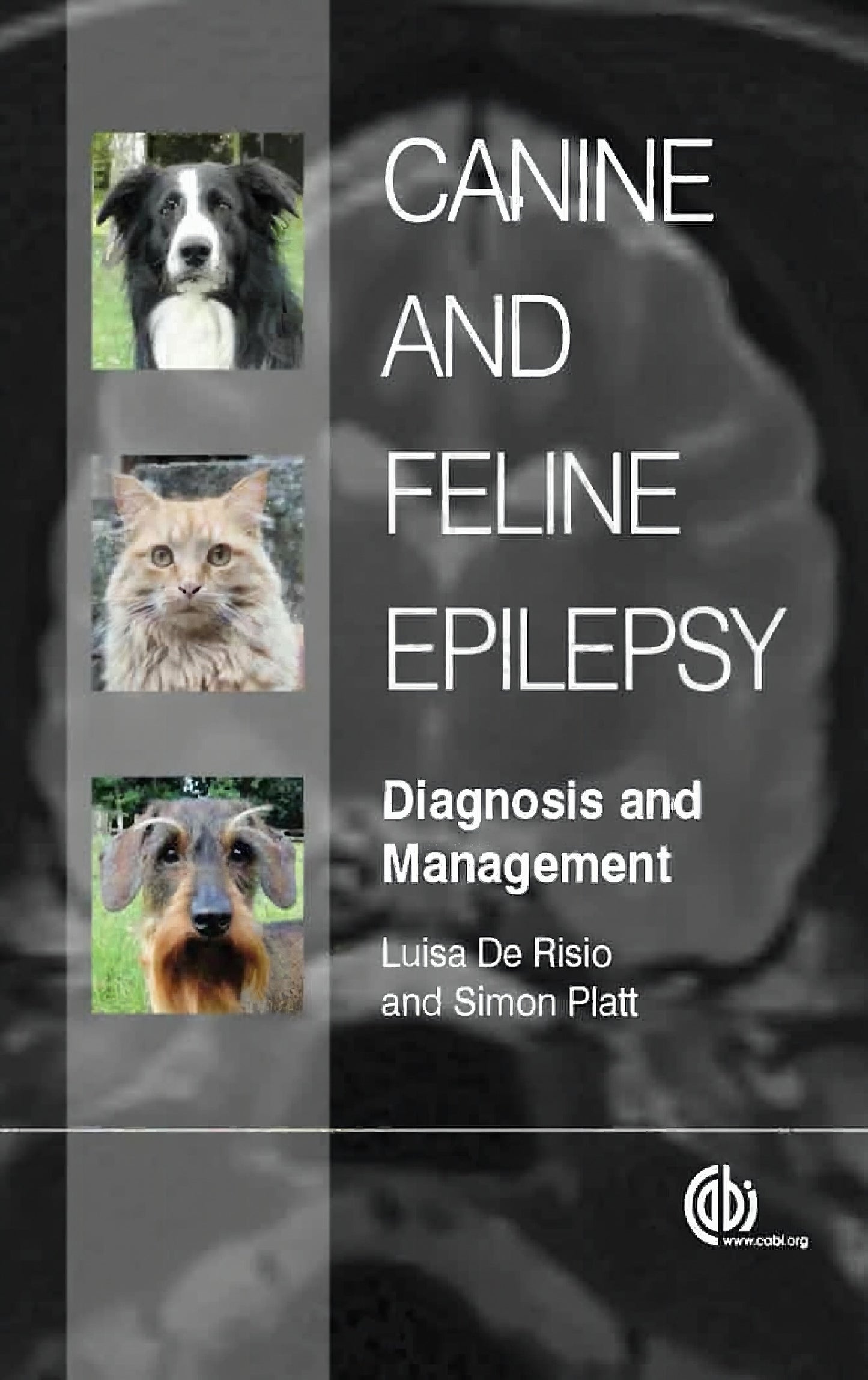 Canine And Feline Epilepsy Diagnosis And Management