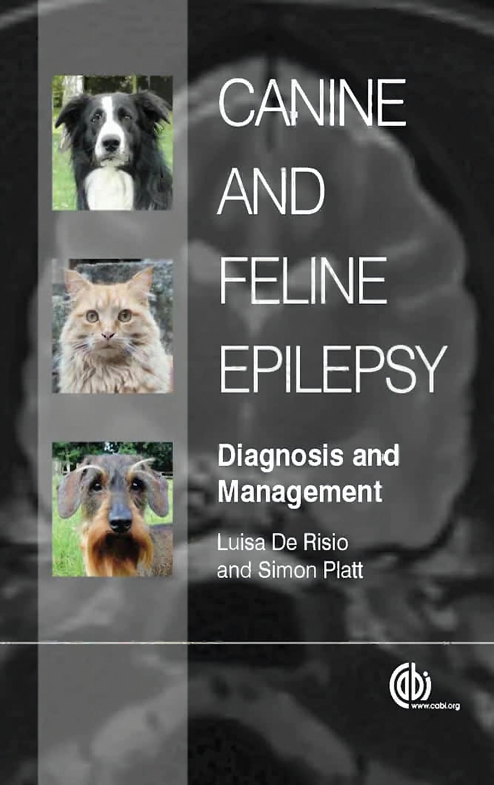 Canine And Feline Epilepsy Diagnosis And Management