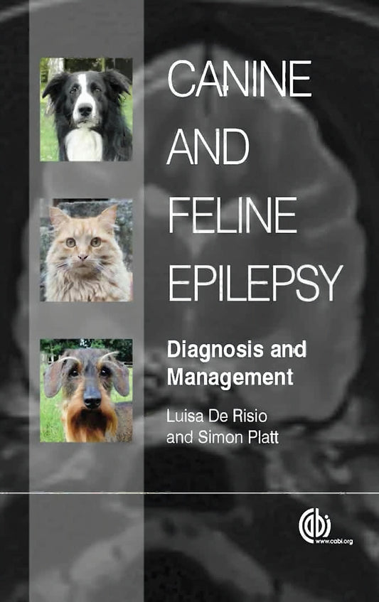 Canine And Feline Epilepsy Diagnosis And Management