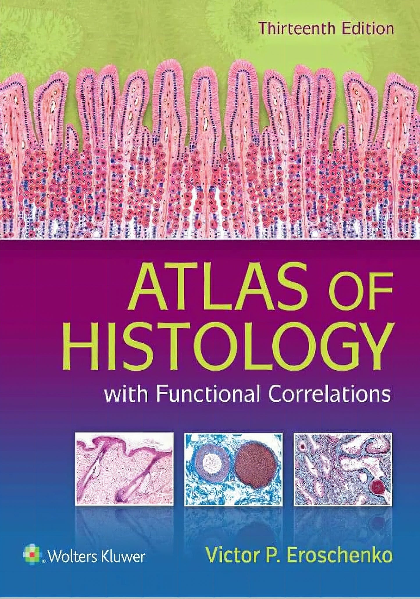 Atlas Of Histology With Functional Correlations 13Th Edition