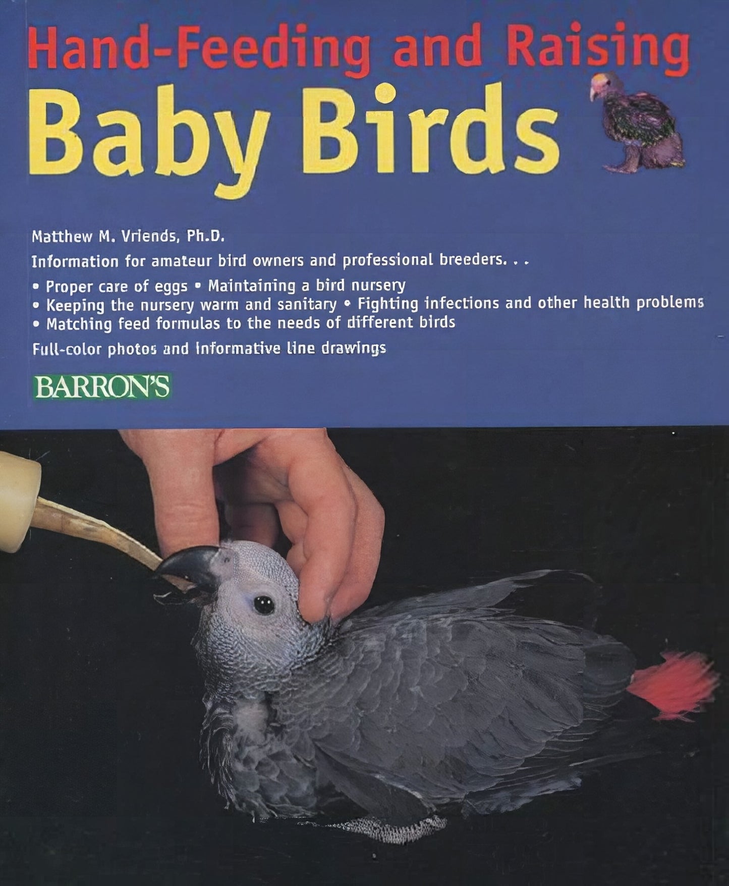Hand Feeding And Raising Baby Birds Breeding Hand Feeding Care And Management