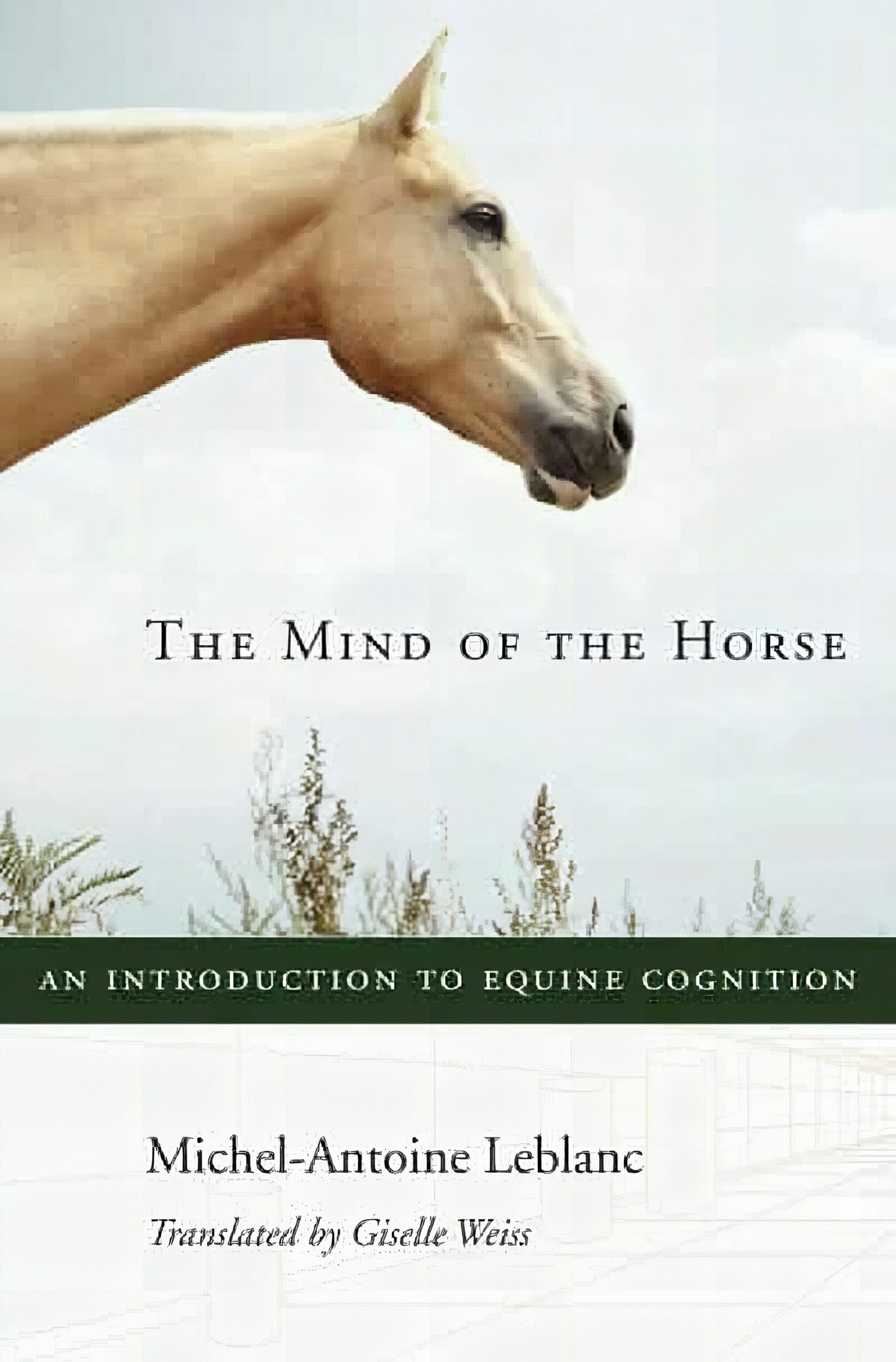 The Mind Of The Horse An Introduction To Equine Cognition