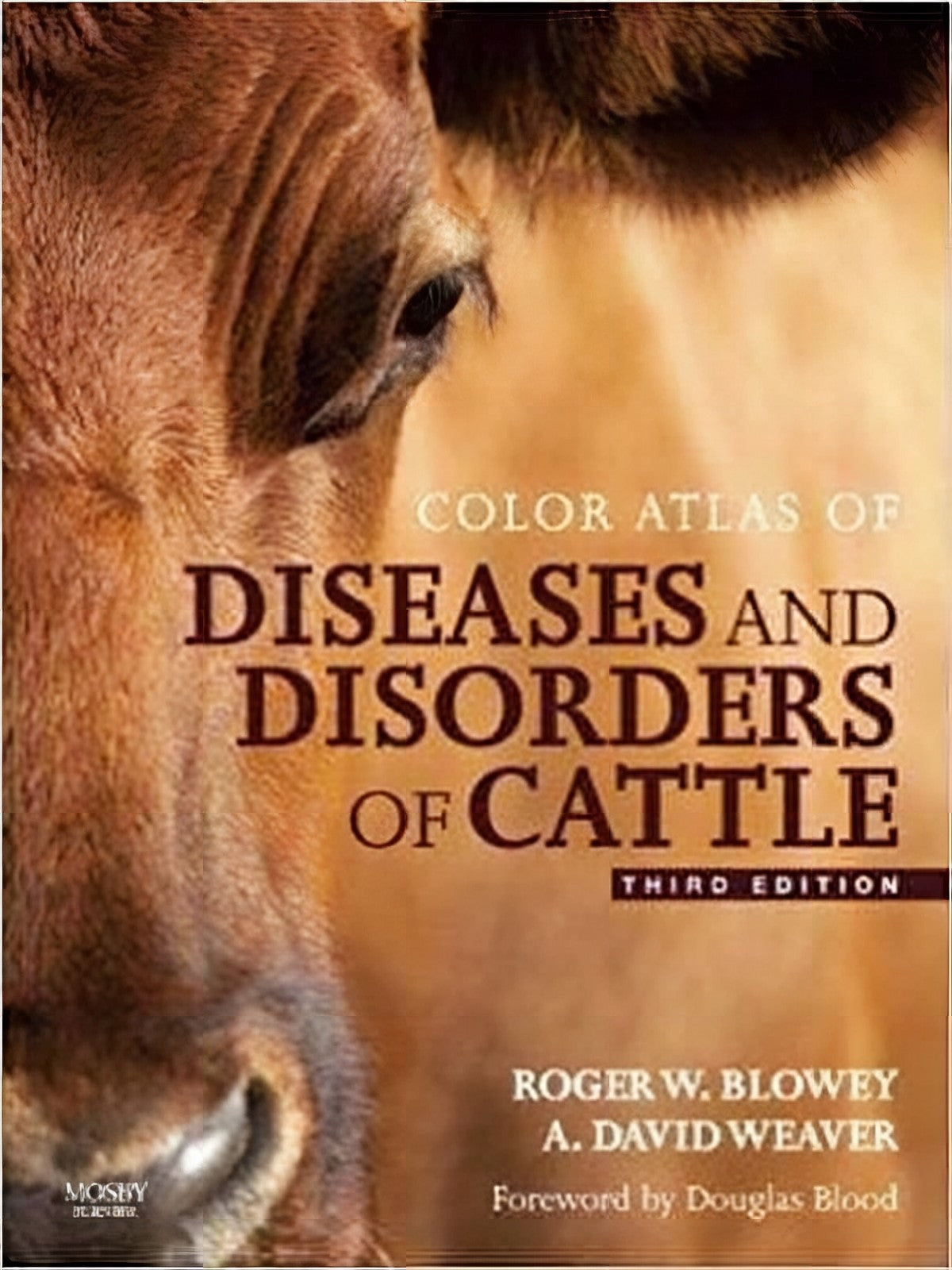 Color Atlas Diseases Disorders Cattle 3Rd Edition