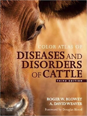 Color Atlas Diseases Disorders Cattle 3Rd Edition