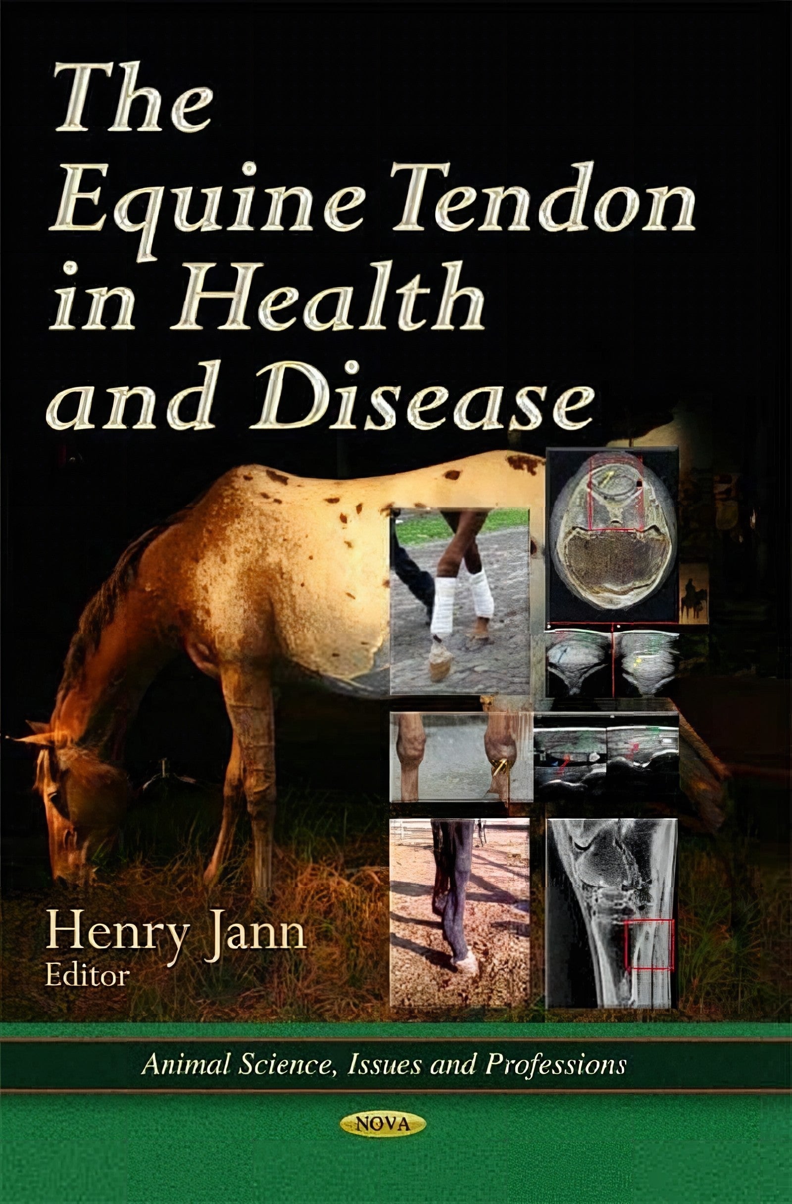 Equine Tendon In Health And Disease