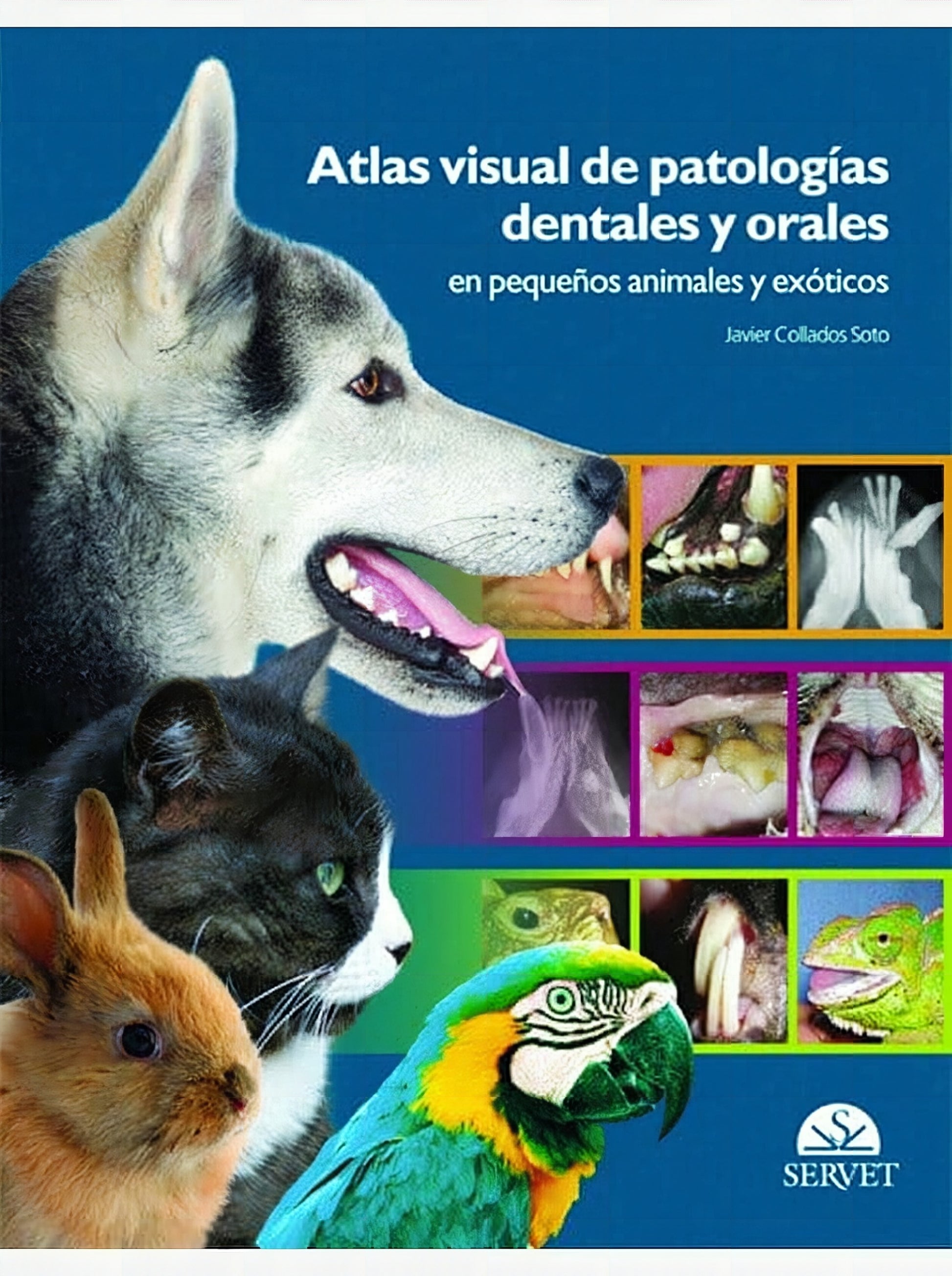 Atlas Visual De Patologias Dentales Y Orales En Pequenos Animales
