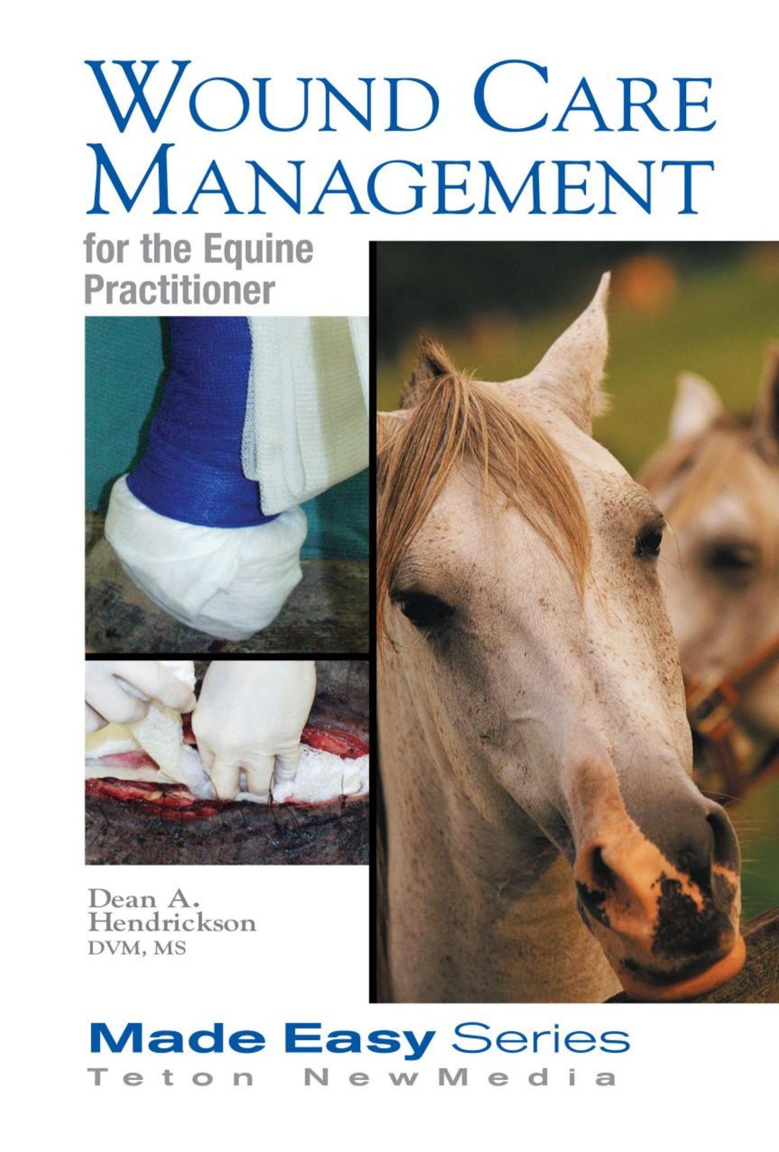 Wound Care Management For The Equine Practitioner