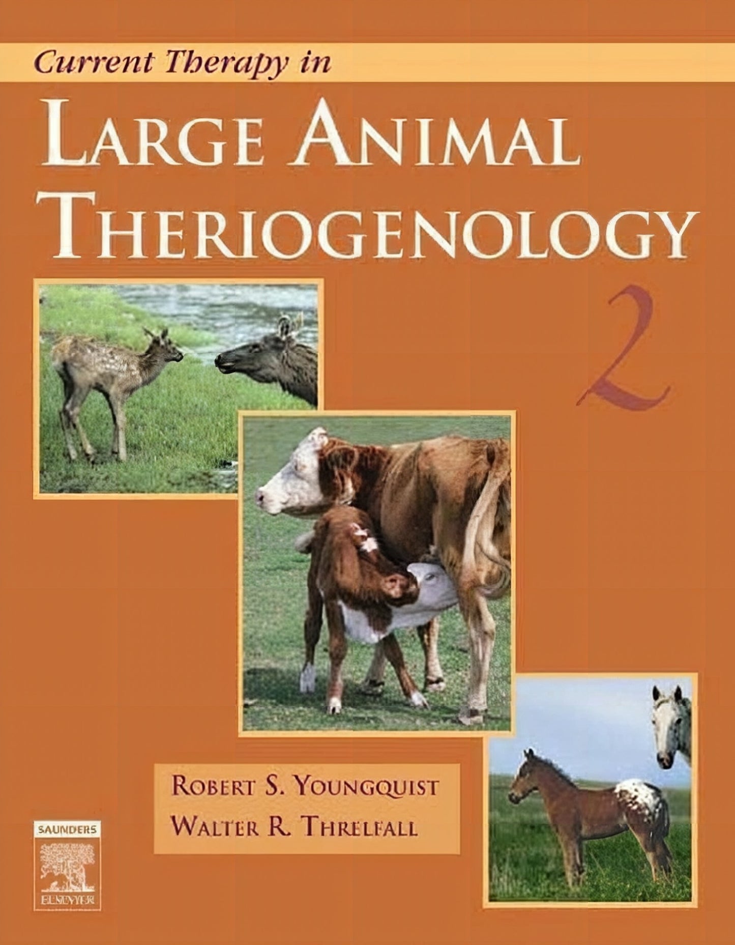 Current Therapy In Large Animal Theriogenology 2Nd Edition