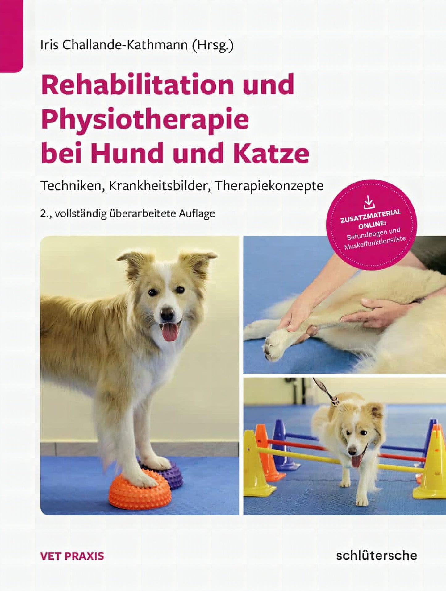 Rehabilitation Und Physiotherapie Bei Hund Und Katze