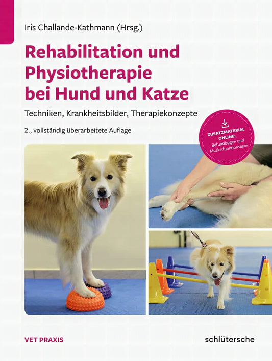 Rehabilitation Und Physiotherapie Bei Hund Und Katze