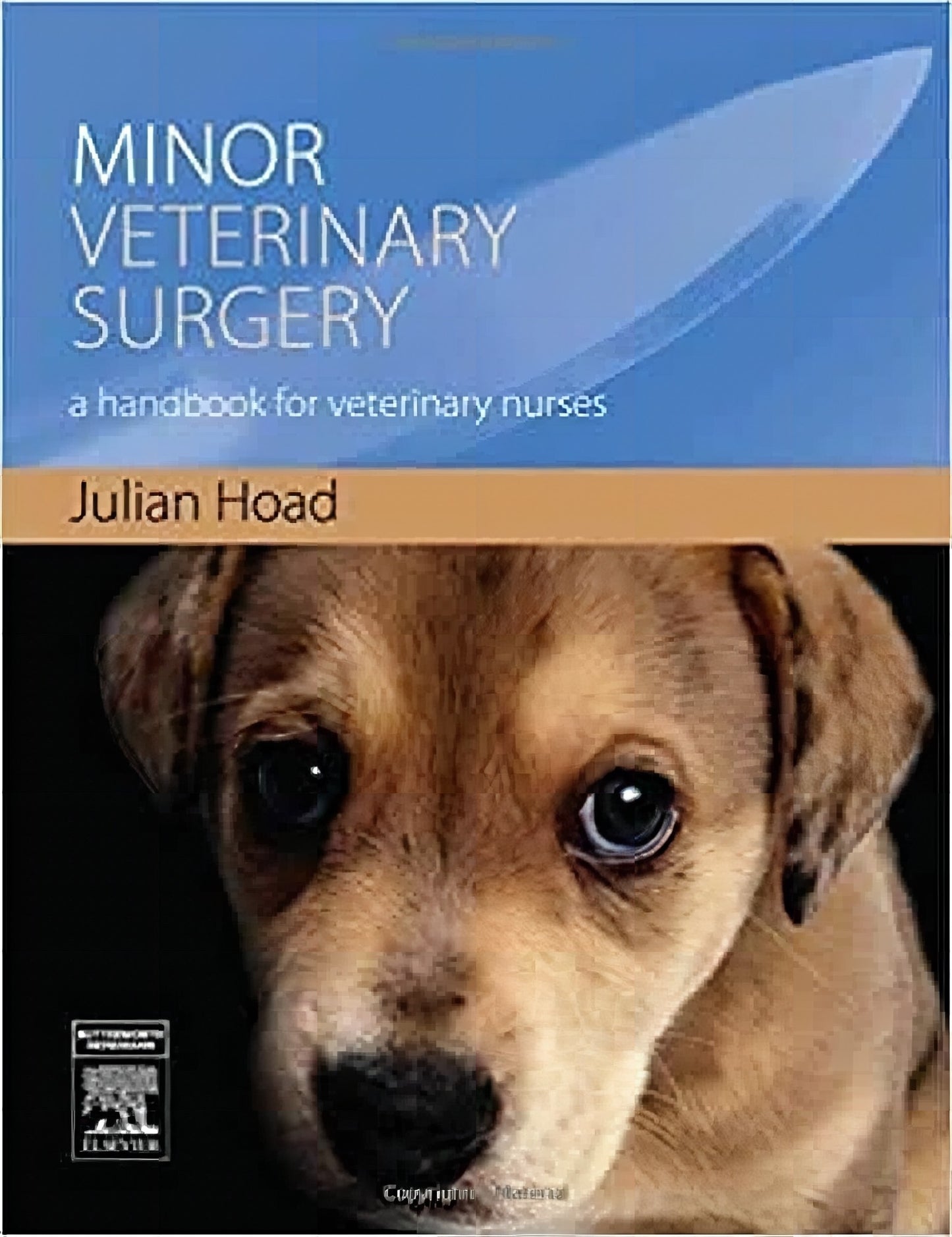 Minor Veterinary Surgery A Handbook For Veterinary Nurses