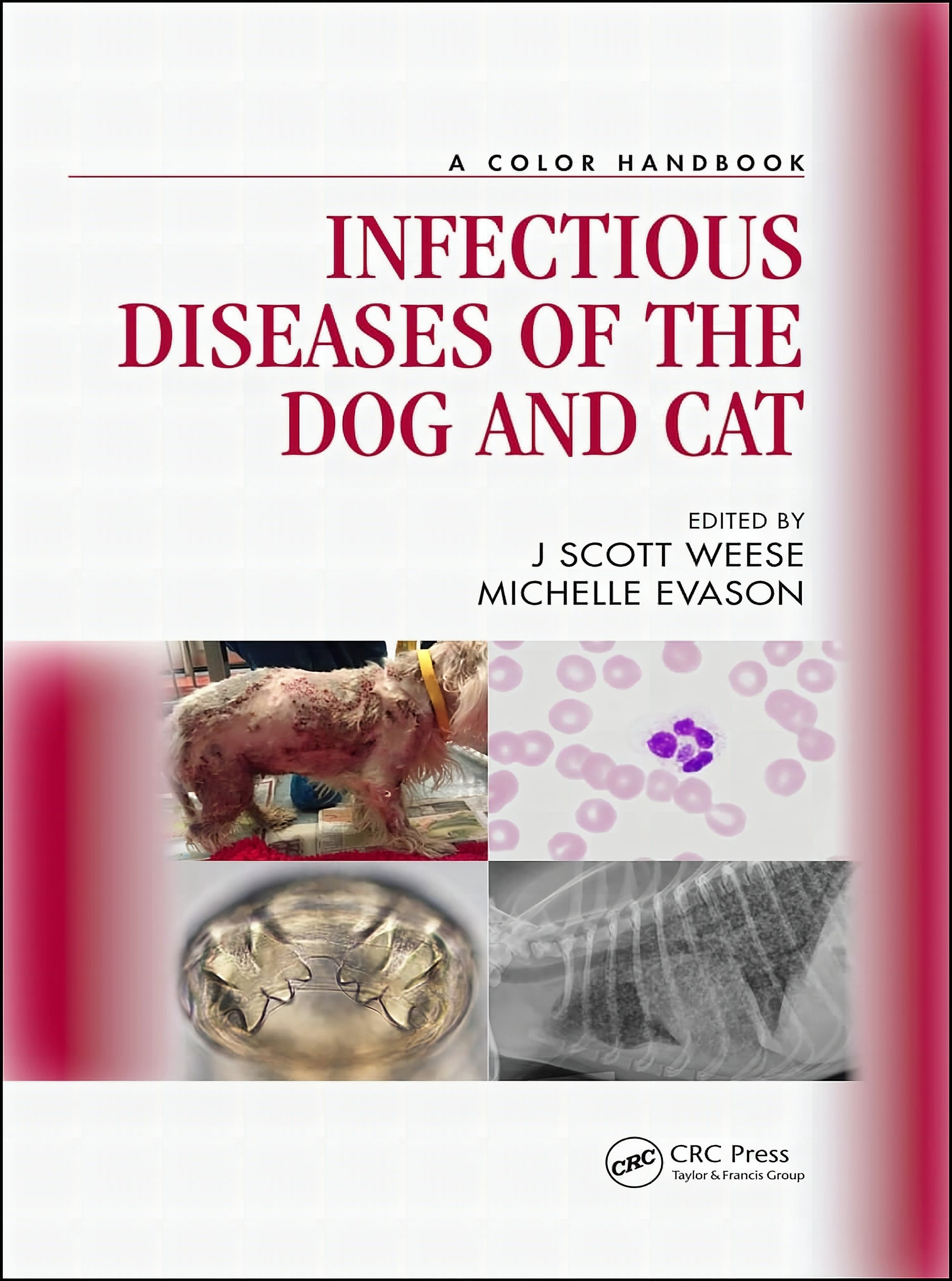 Infectious Diseases Of The Dog And Cat A Color Handbook