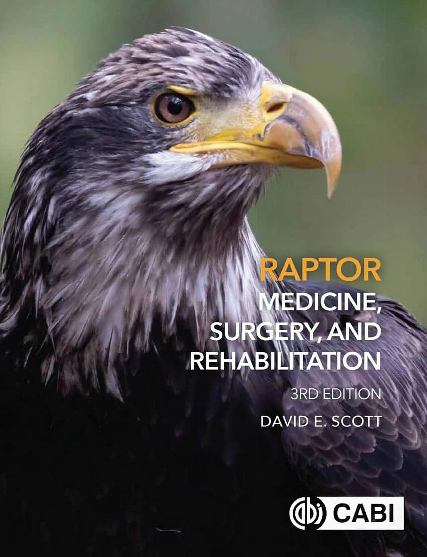 Raptor Medicine Surgery And Rehabilitation 3Rd Edition