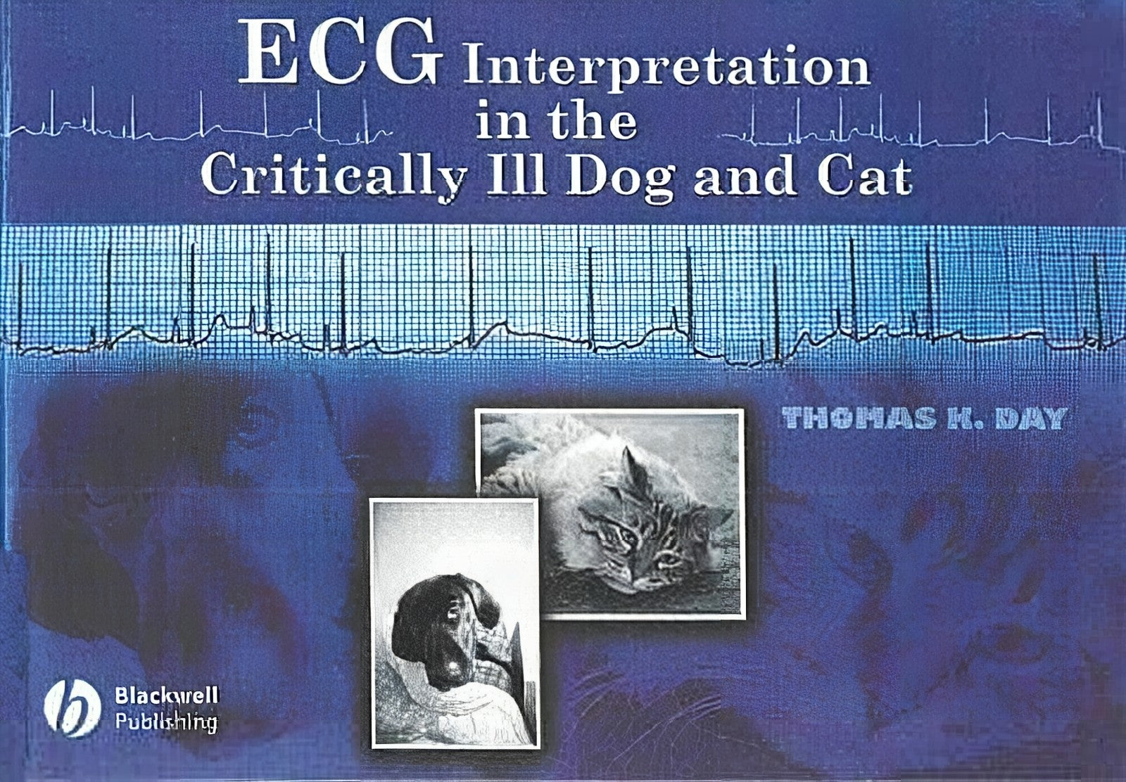 Ecg Interpretation In The Critically Ill Dog And Cat