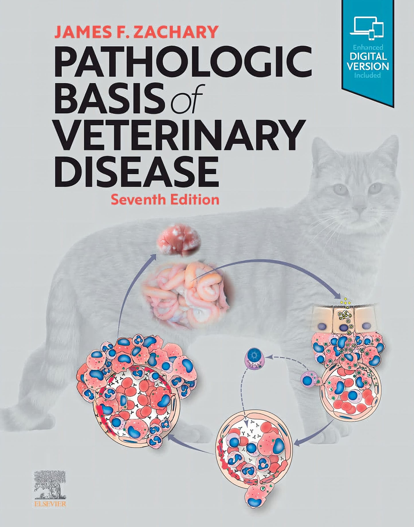 Pathologic Basis Of Veterinary Disease 7Th Edition