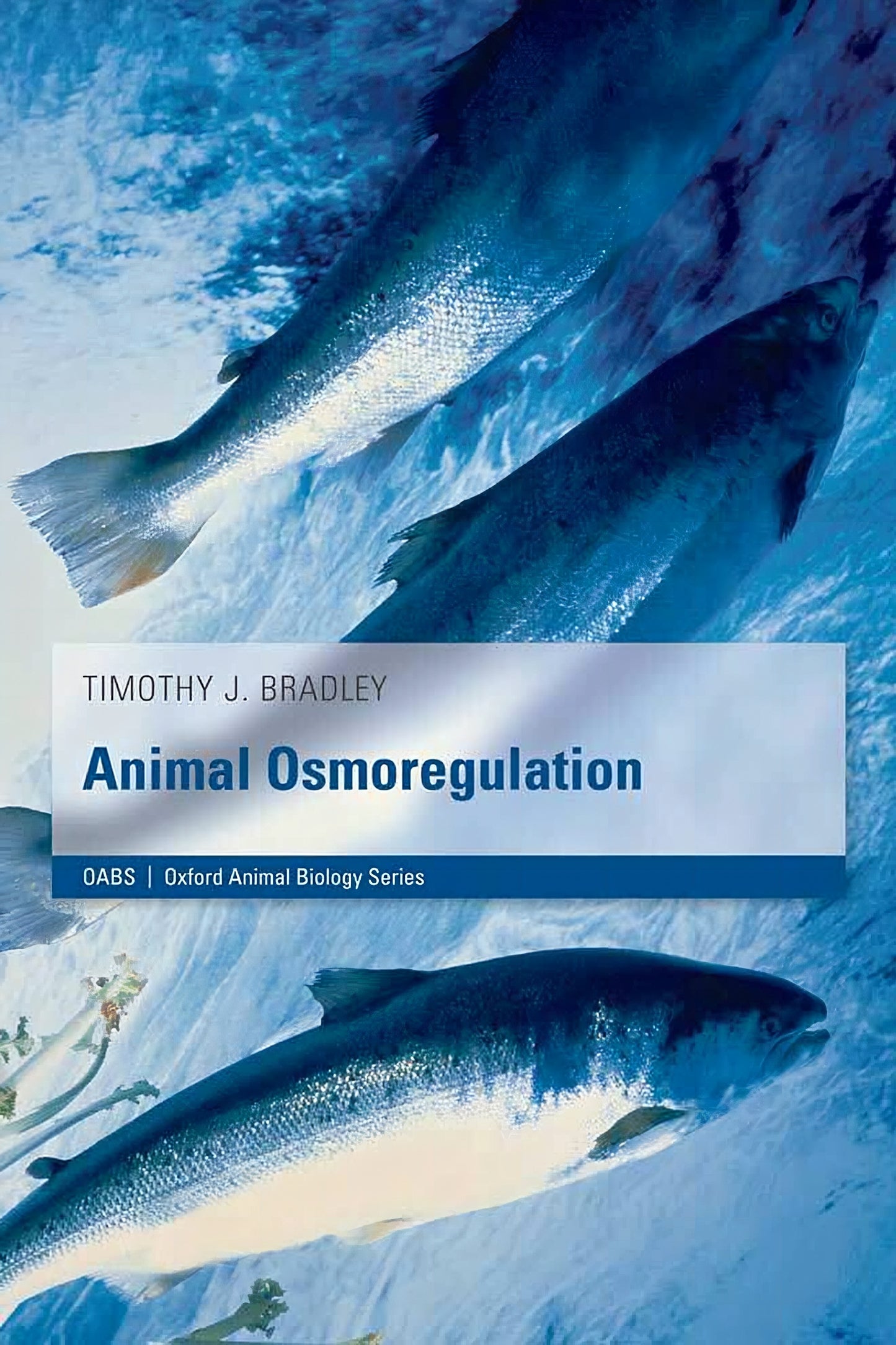Animal Osmoregulation