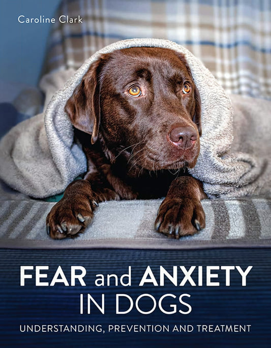 Fear And Anxiety In Dogs