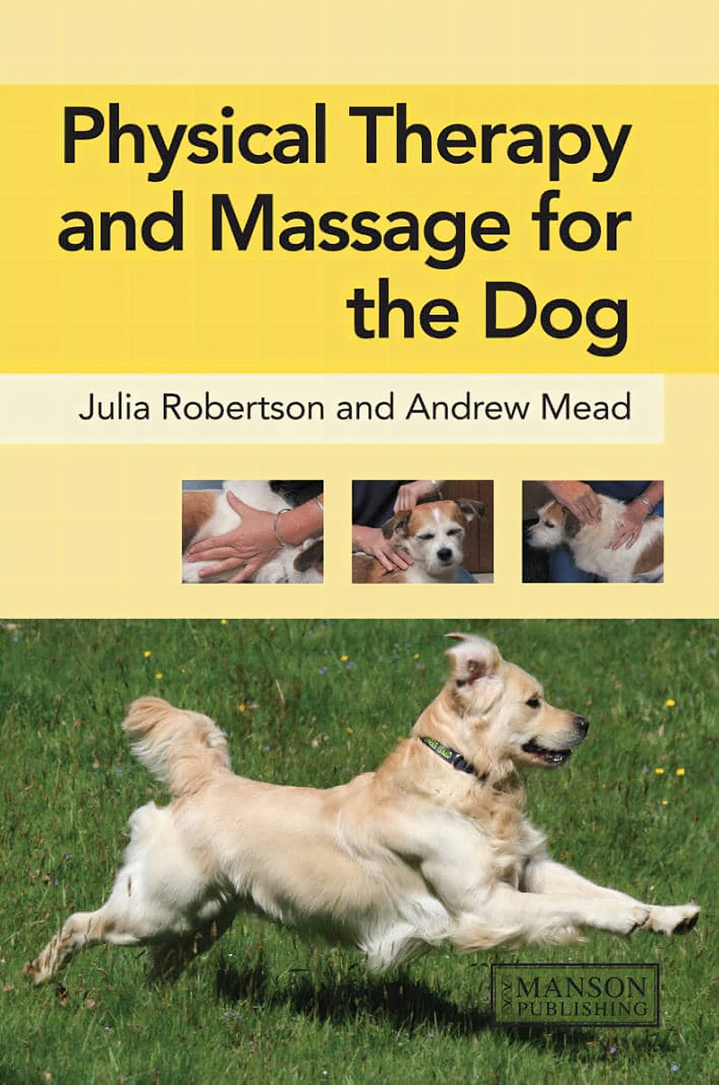 Physical Therapy And Massage For The Dog