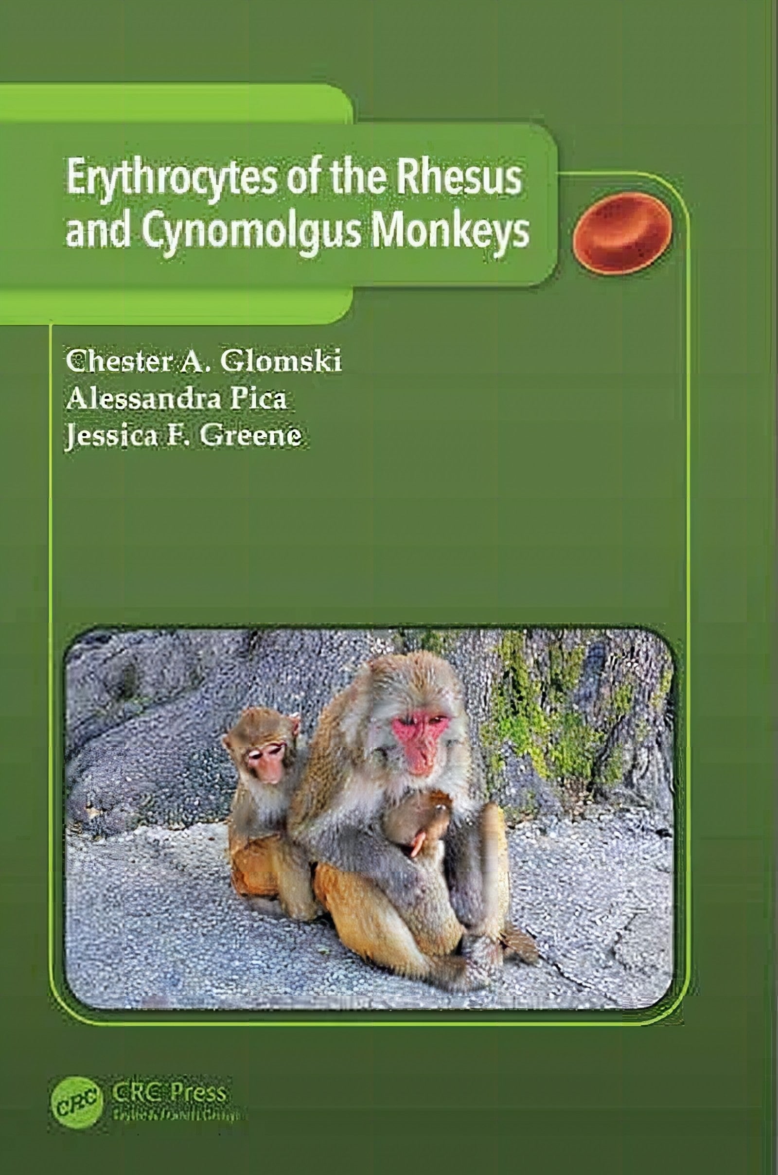 Erythrocytes Of The Rhesus And Cynomolgus Monkeys