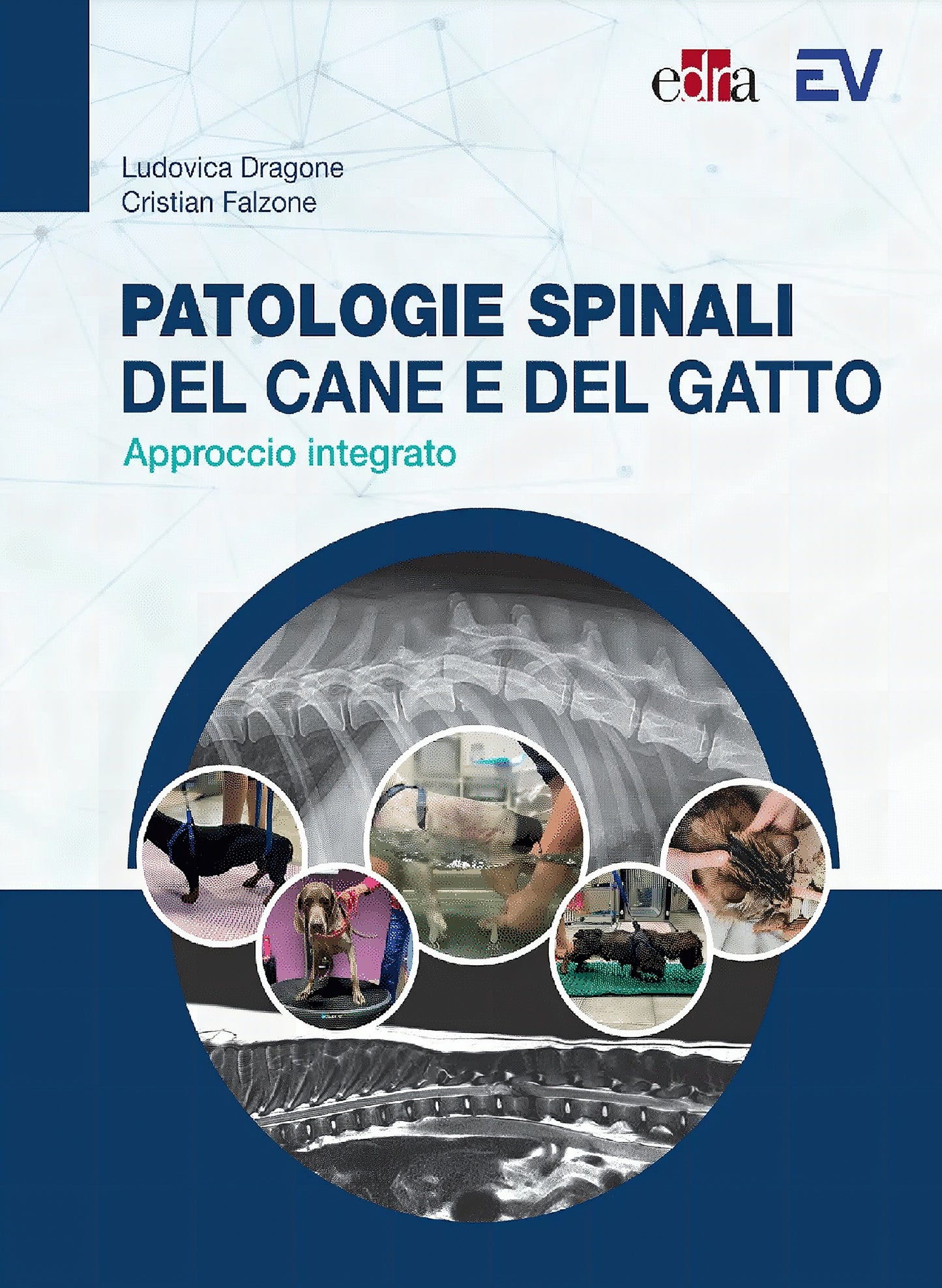 Patologie Spinali Del Cane E Del Gatto