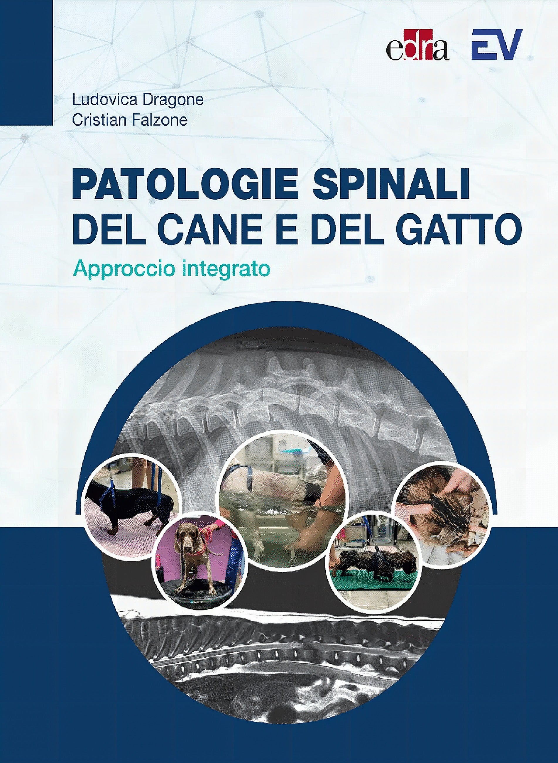 Patologie Spinali Del Cane E Del Gatto
