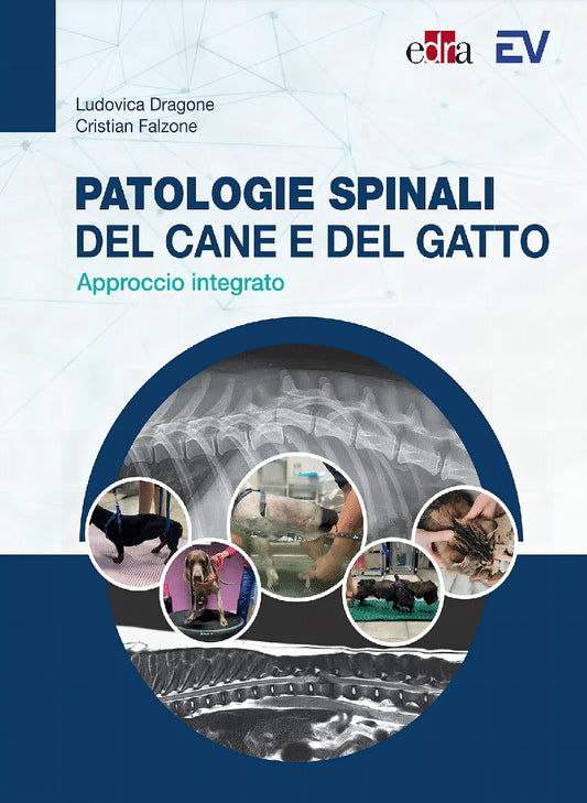 Patologie Spinali Del Cane E Del Gatto