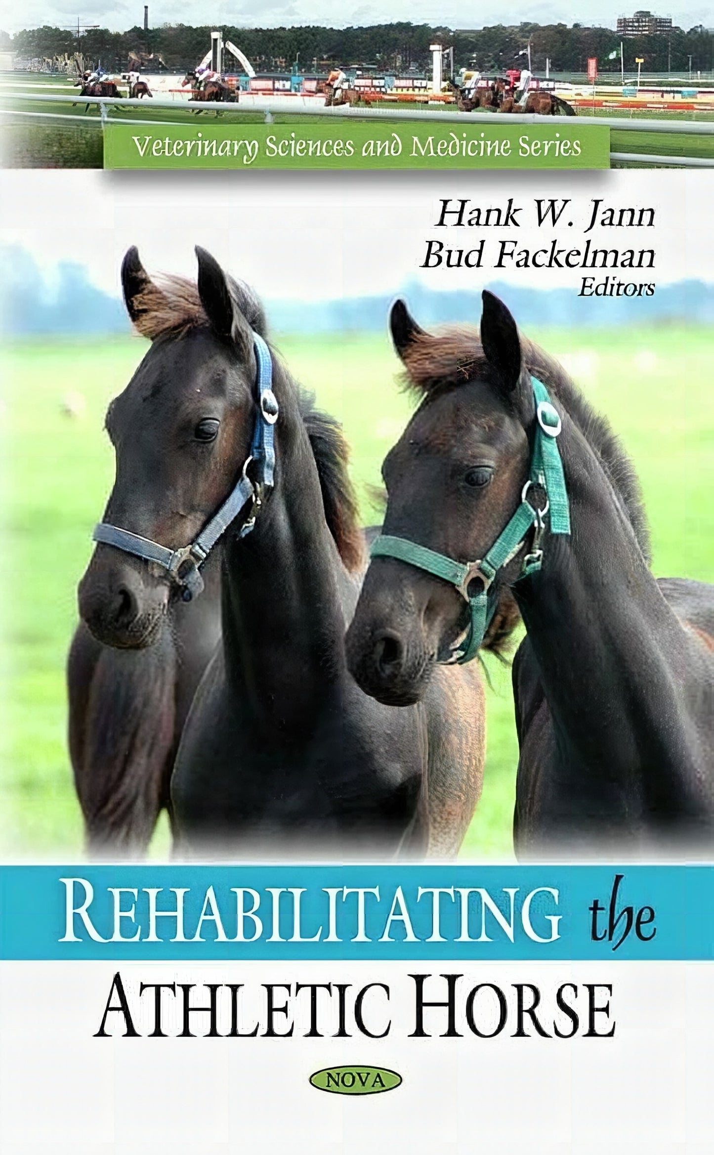 Rehabilitating The Athletic Horse