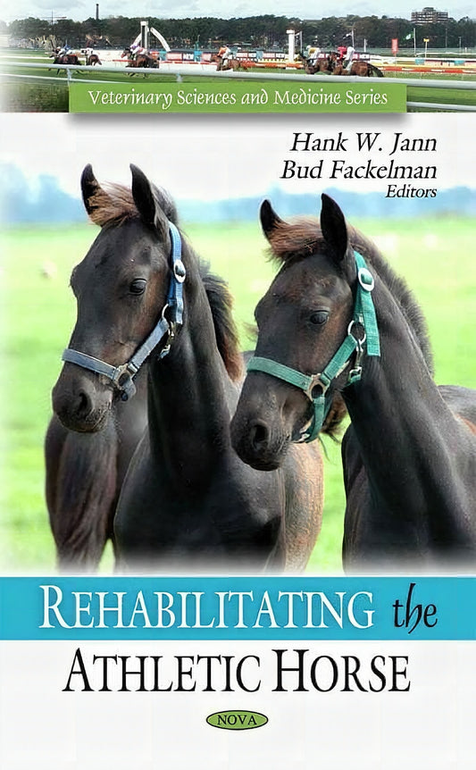 Rehabilitating The Athletic Horse