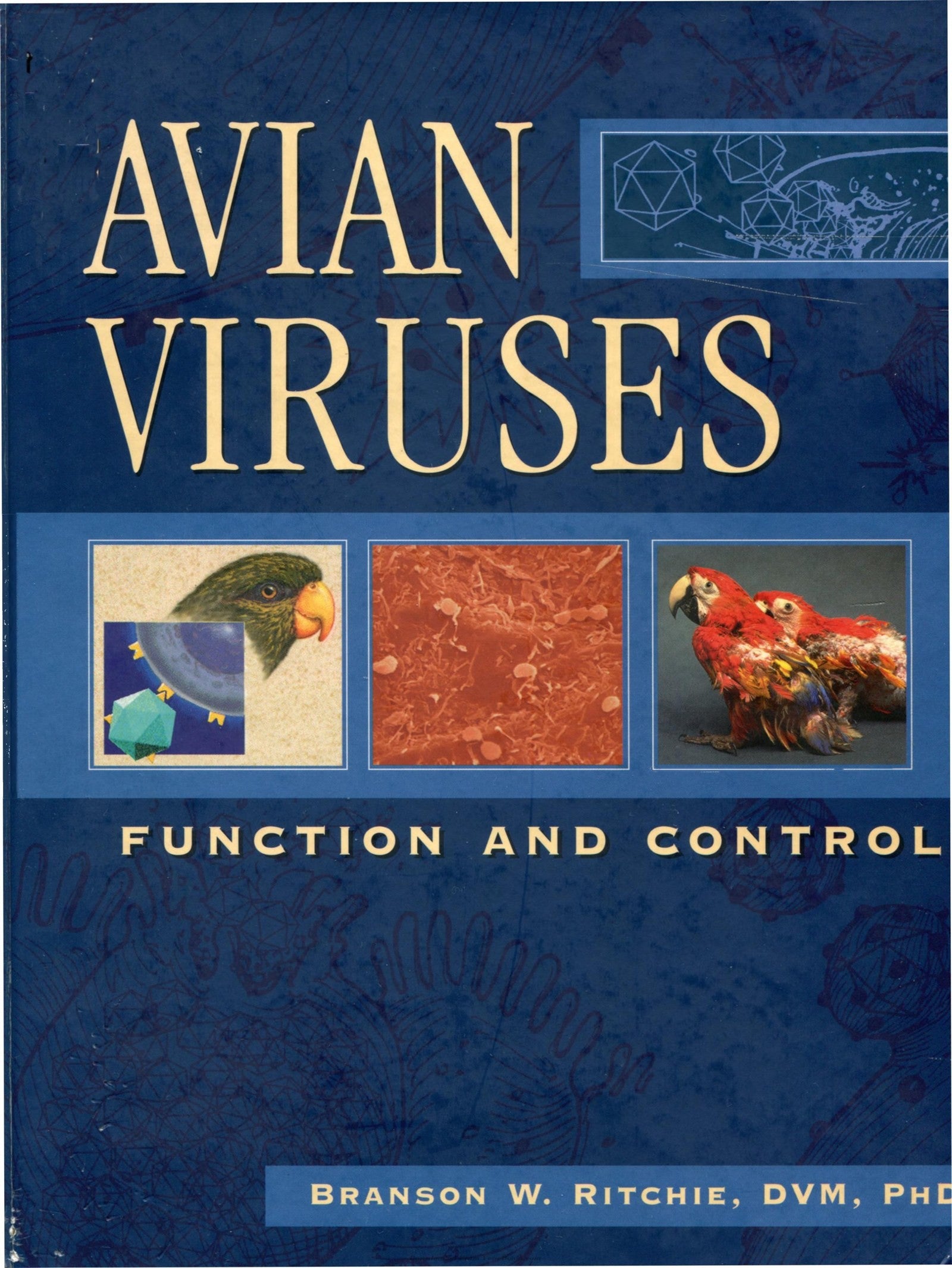 Avian Viruses Function And Control