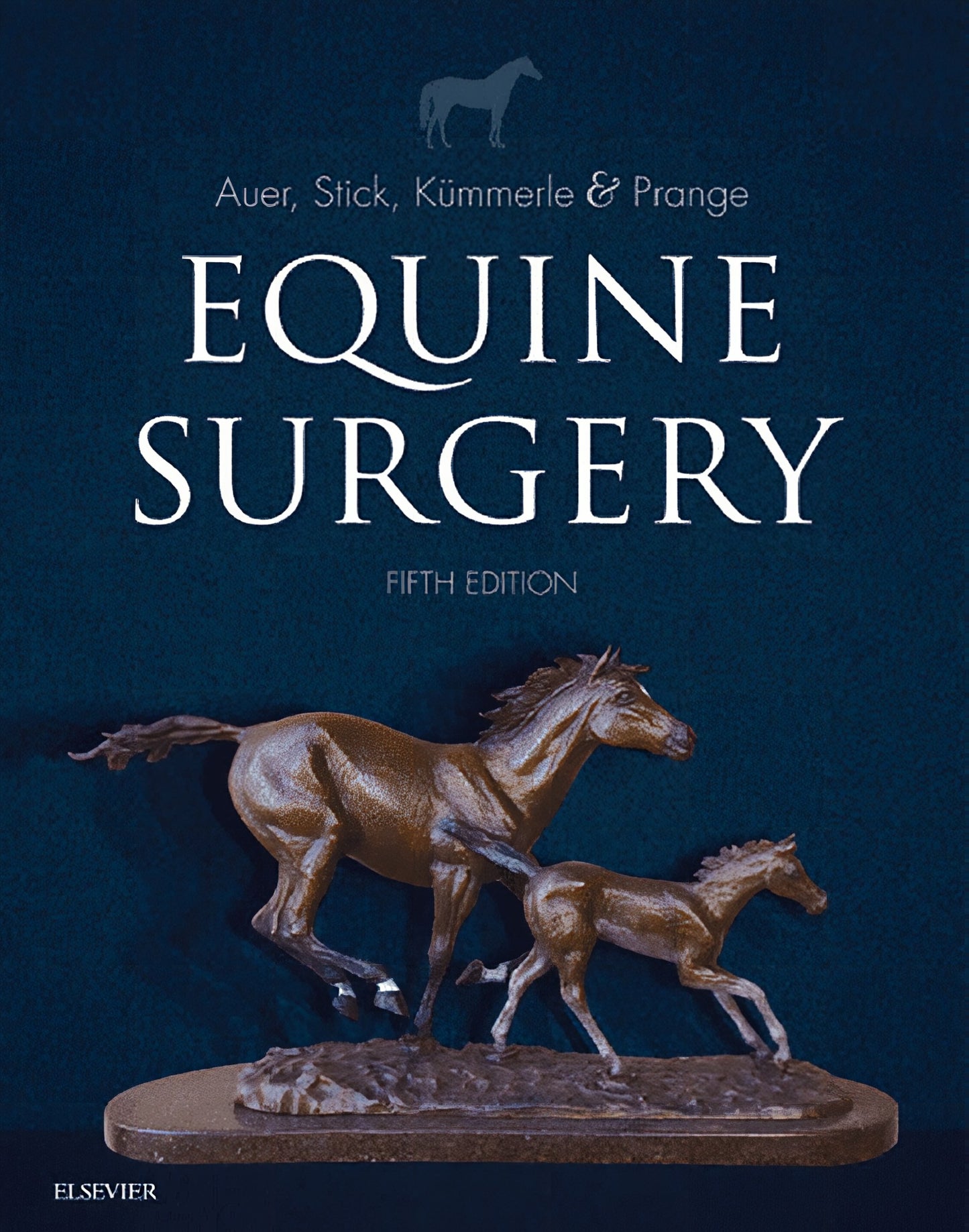 Equine Surgery 5Th Edition