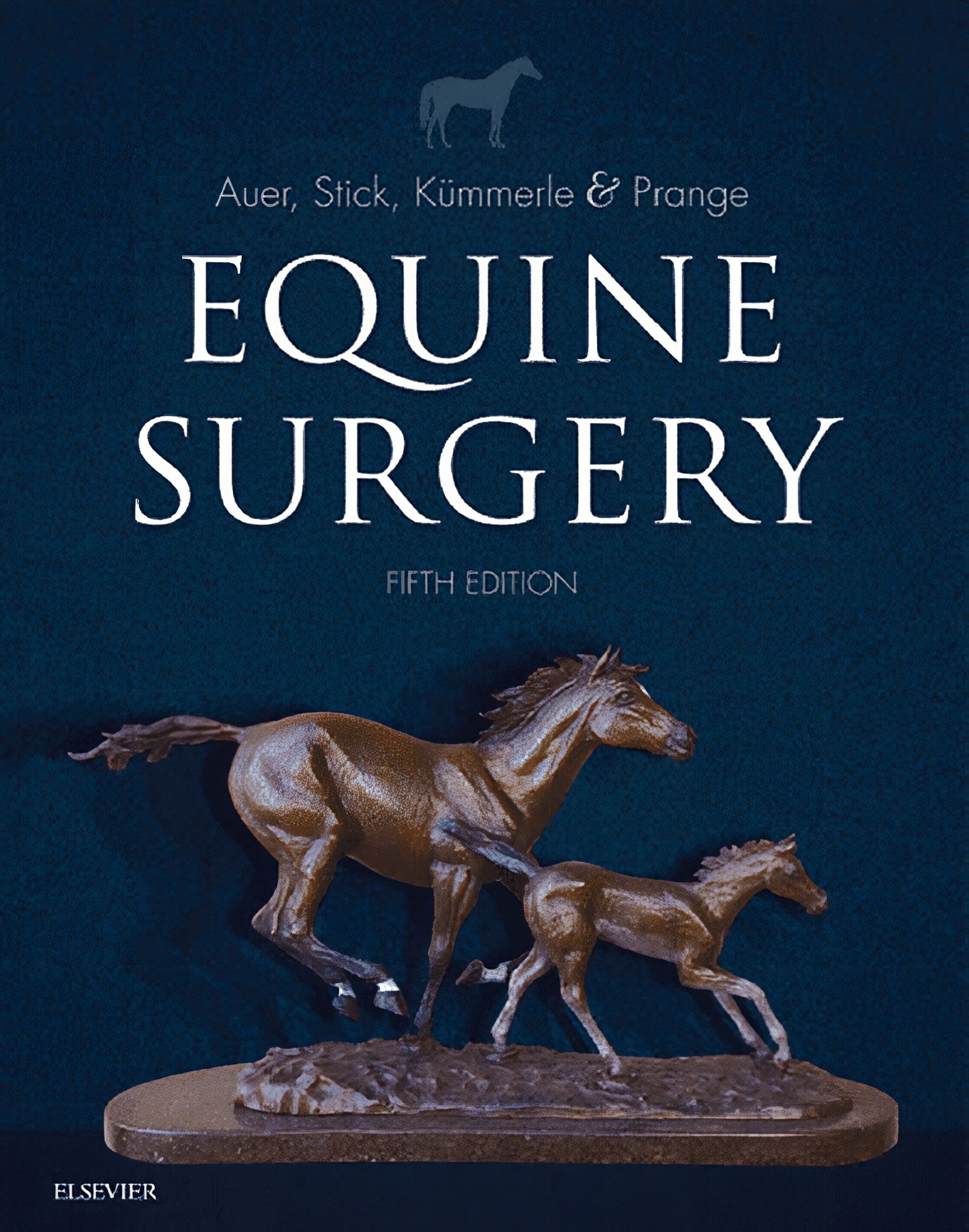 Equine Surgery 5Th Edition