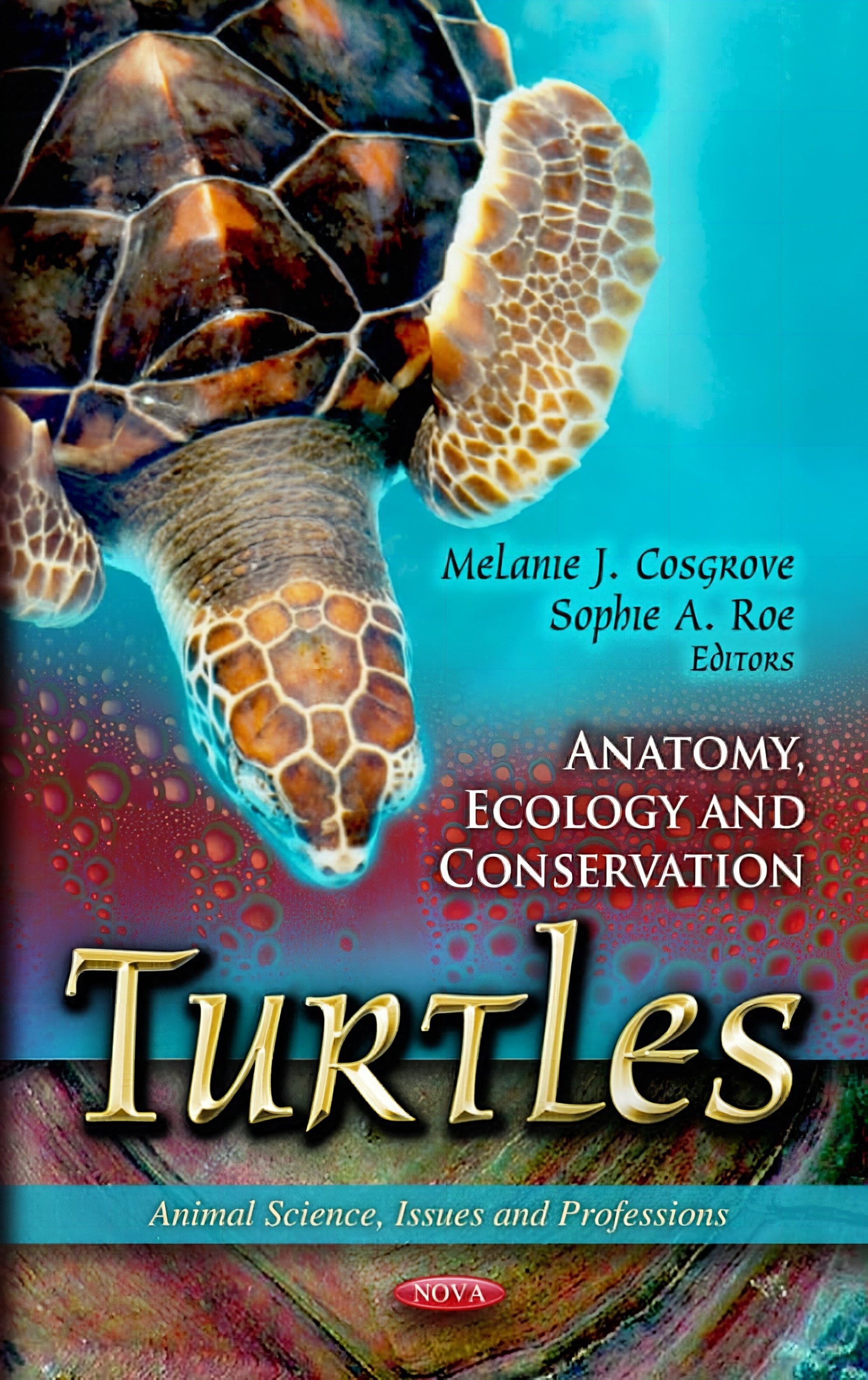 Turtles Anatomy Ecology And Conservation